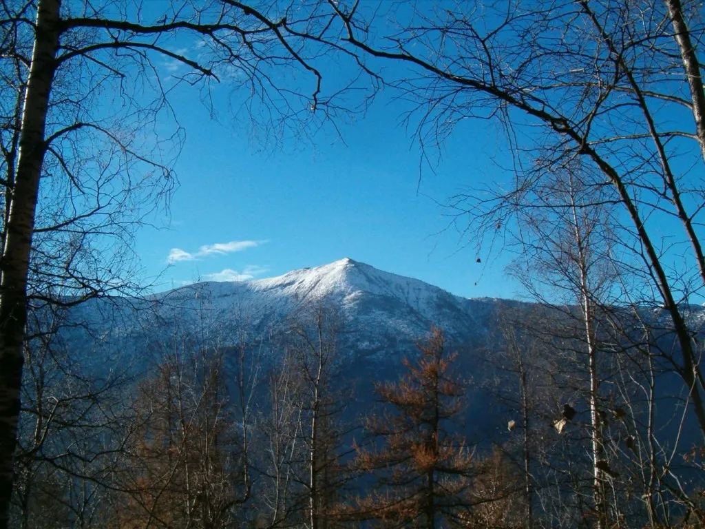 Photo showing: Monte Birrone (Frassino, Val Varaita). Ripresa dal Bosco del Tuono, sulle pendici del Monte Ricordone