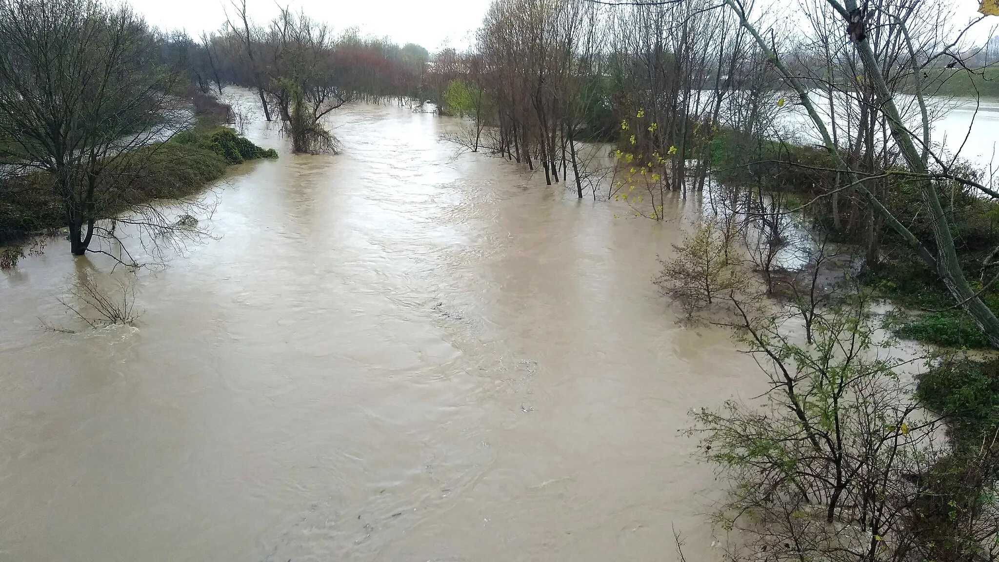 Photo showing: Il Chisola esondato presso La Loggia - 24 novembre 2019