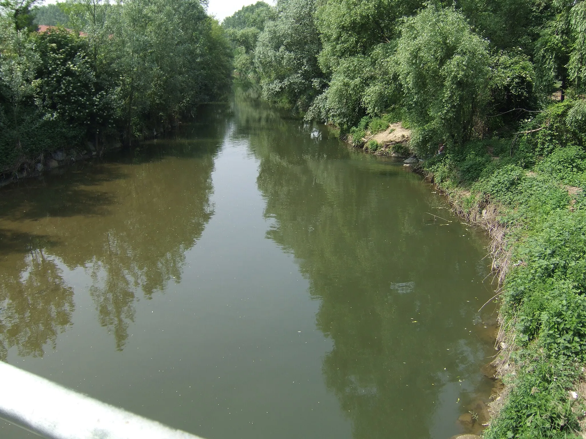 Photo showing: River Chisola at Volvera (IT)