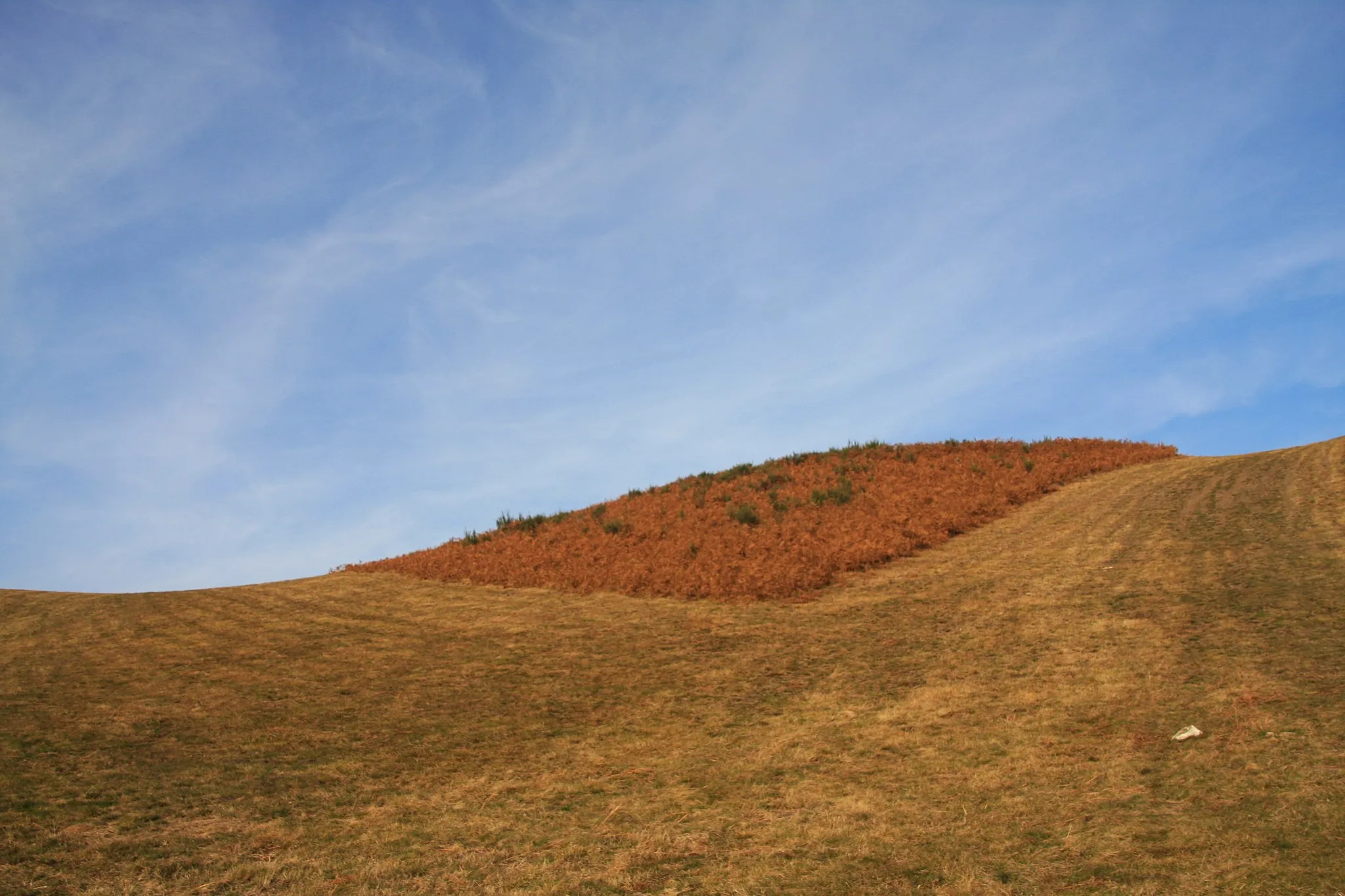 Photo showing: Mountain profile of Monte Falò (1.081 m.a.s.l.) of Mergozzolo group of  Pennine Alps.  Monte Falò  is located near Coiromonte: a village frazione of Armeno municipality in the Province of Novara - region Piedmont in Italy. The picture was taken from the path leading to the top of Monte Falò on the 1st of November 2017.  2017-11-01