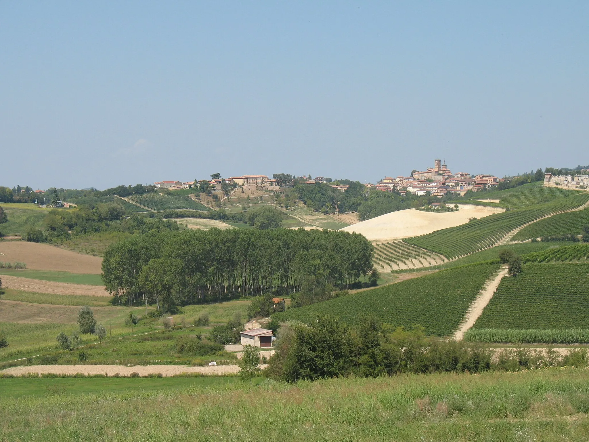 Photo showing: Panorama di Grazzano Badoglio dalla piana del Monferrato