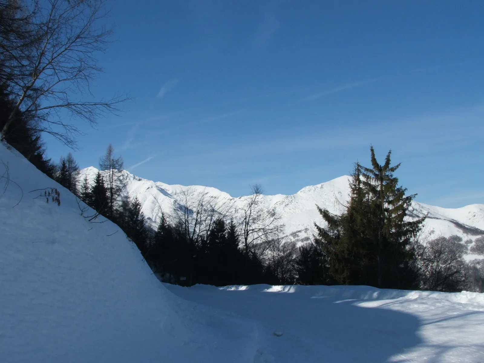 Photo showing: Valle Sessera,  zona di Bocchetto Séssera e Bielmonte, Biella (Piemonte, Italia) in inverno