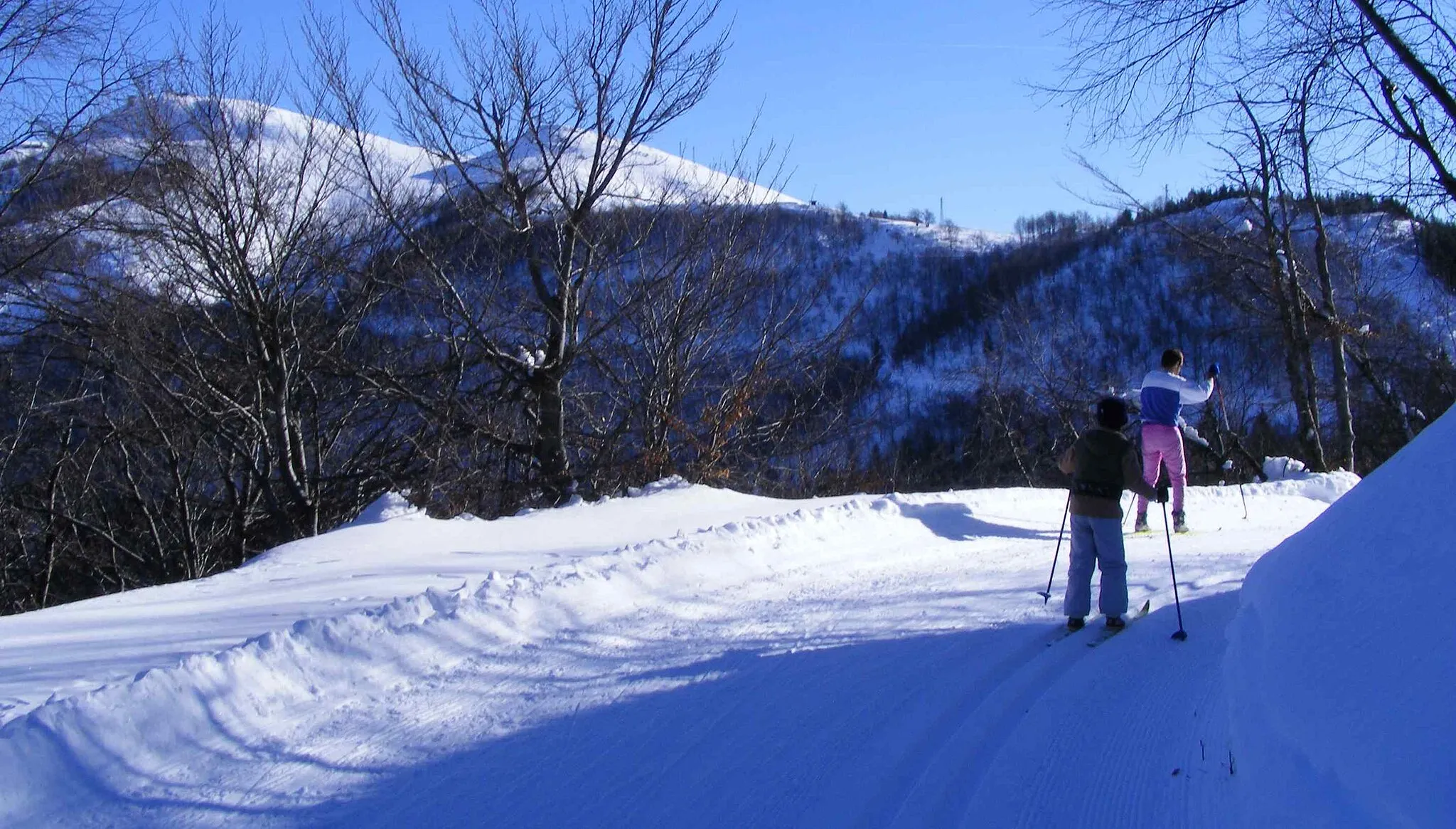 Photo showing: A cross-country ski track near the Bocchetto di Sessera (Biellese, Piedmont, Italy)