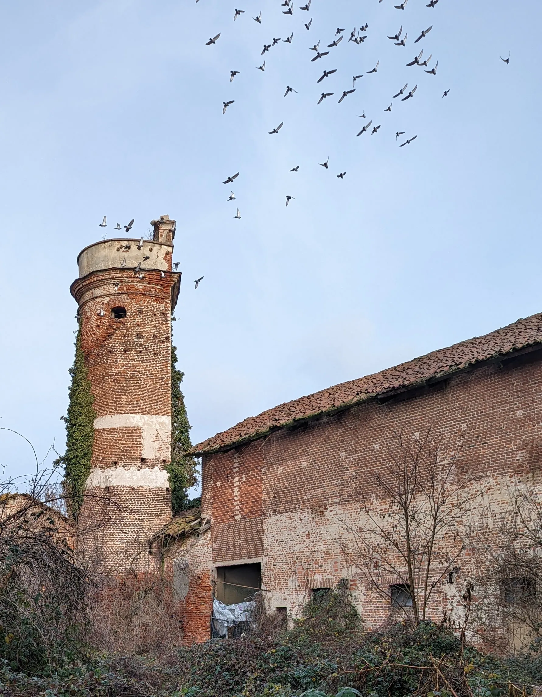 Photo showing: Torre del castello di Larizzate
