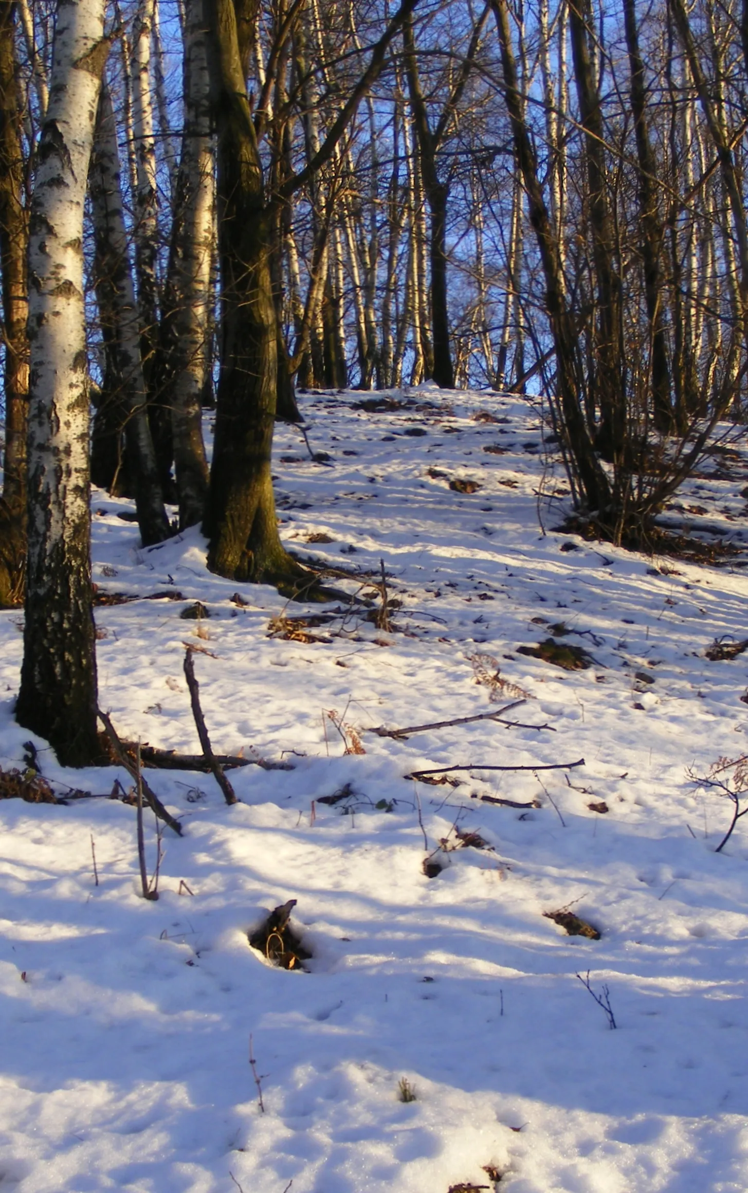 Photo showing: Il monte Turlo (Alpi Biellesi) innevato