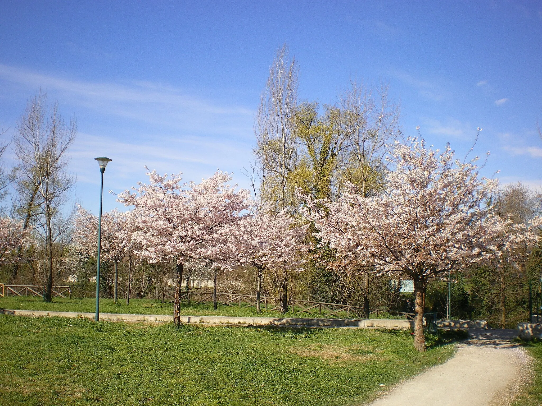 Photo showing: Area verde Via Calabria