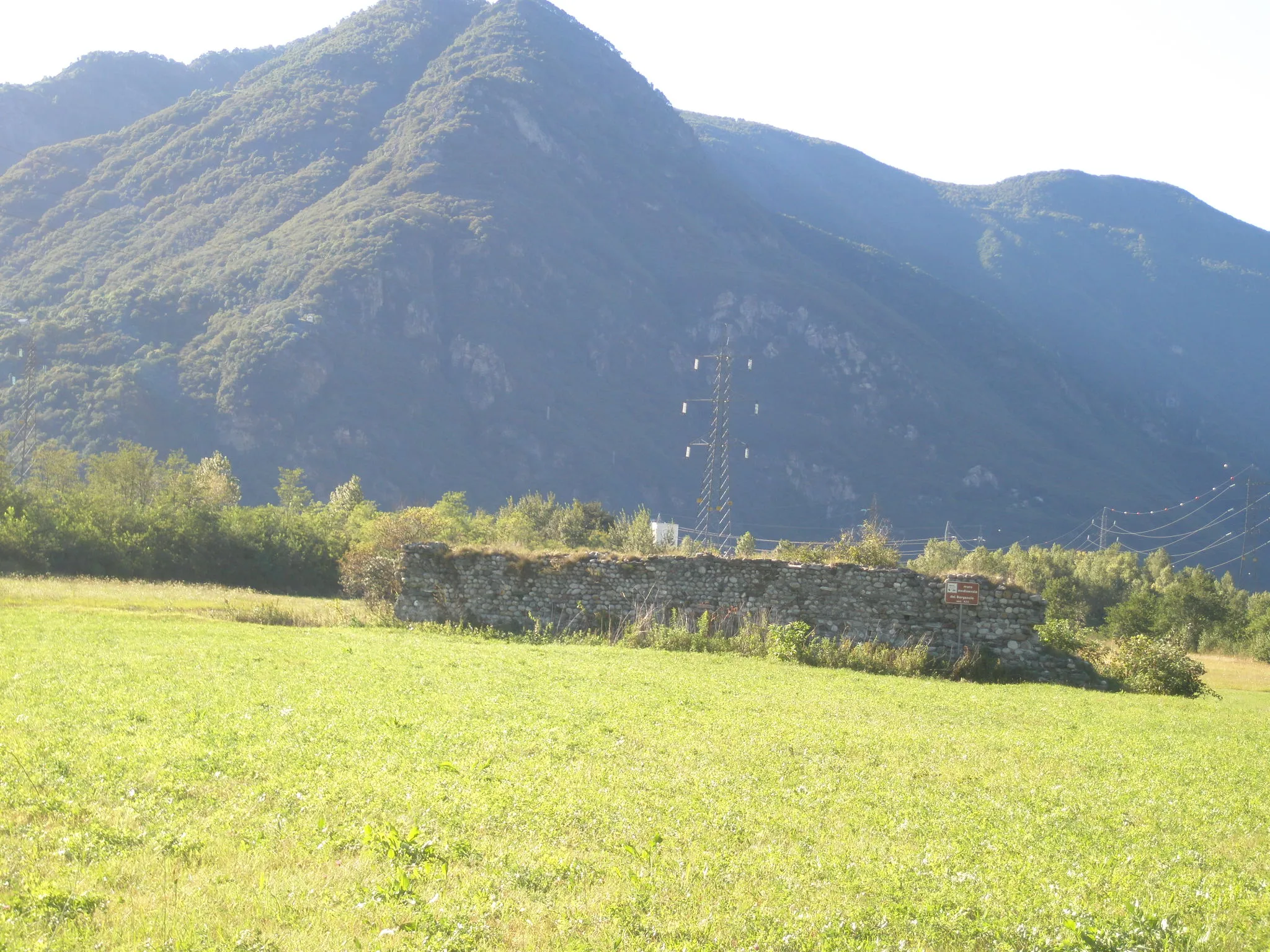 Photo showing: Muro del Borgaccio nei pressi del fiume Toce, che separa Pieve Vergonte e il vicino paese Vogogna. Sono i resti di un muro del castello di Pietrasanta, distrutto il 9 febbraio 1348, detto comunemente il Borgaccio.