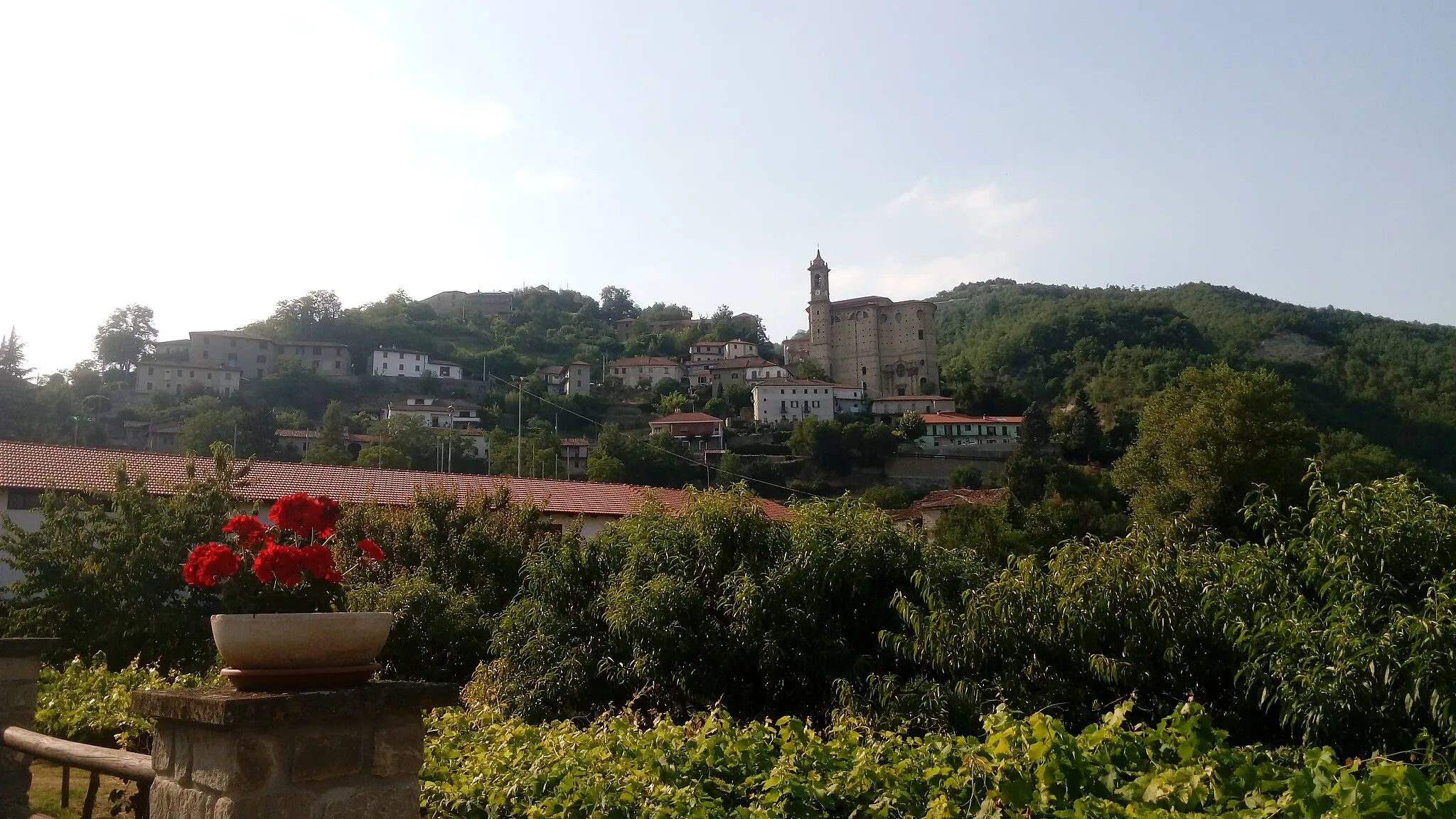 Photo showing: vista su Cessole e il suo castello