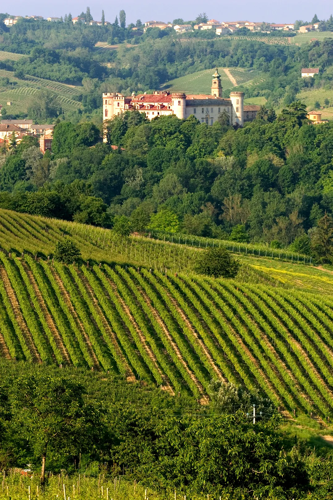 Photo showing: Vista del castello di Costigliole d'Asti (AT)