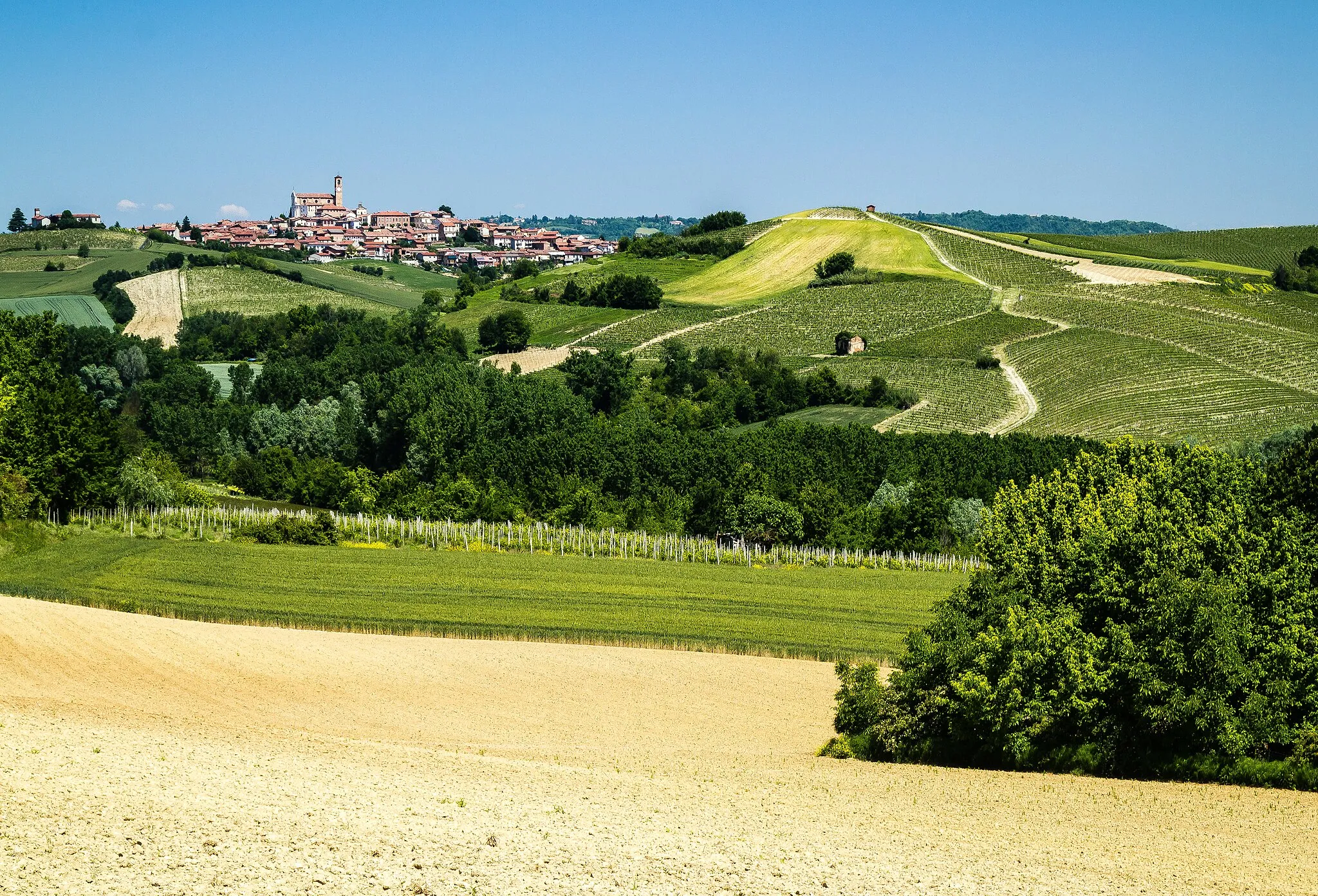 Photo showing: Taken somewhere near Portacomaro, Asti