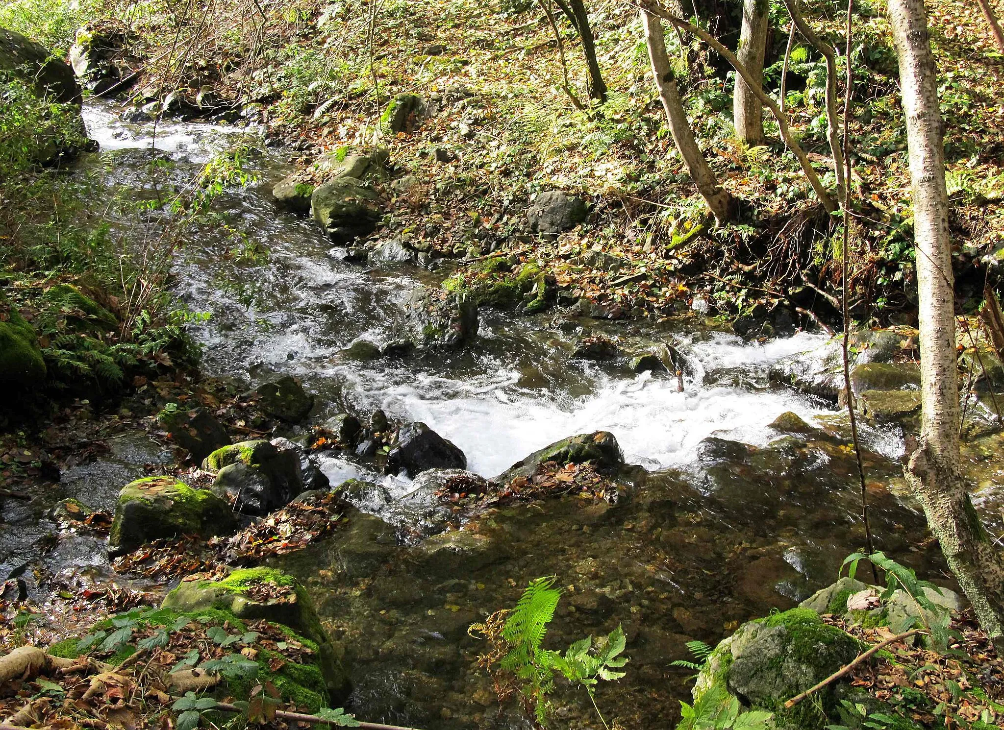 Photo showing: Camandona  (BI, Italy): Strona di Mosso