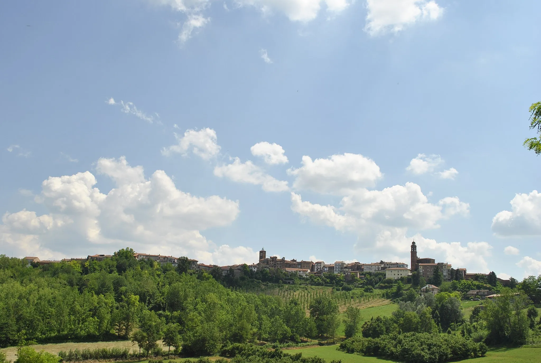 Photo showing: Landscape Montechiaro d'Asti (AT)