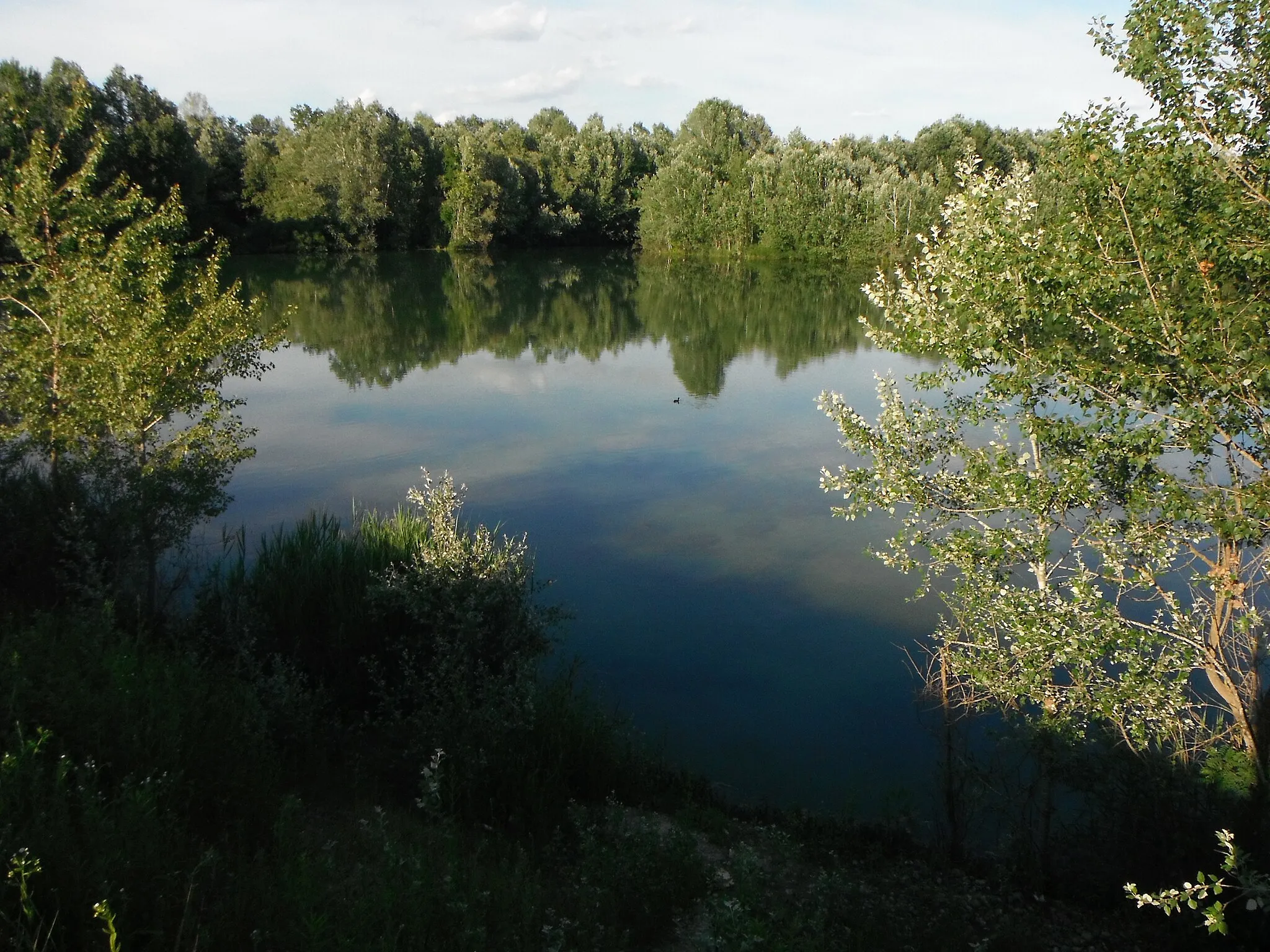 Photo showing: Stagno nei pressi del fiume Tanaro nel comune di Revigliasco d'Asti (Italia).