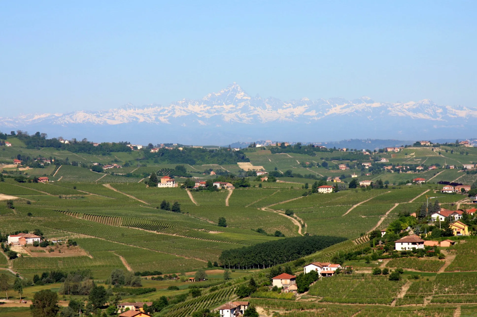 Photo showing: Monviso, taken from San Marzano Oliveto, Piedmont, Italy. The peak of Monviso is 60 miles (96 kilometers) away. Note the vineyards in the foreground.