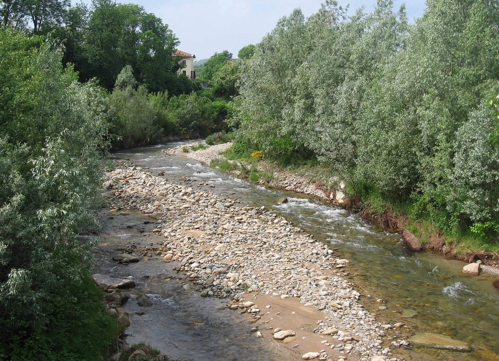 Photo showing: Viona near Mongrando (BI, Italy)