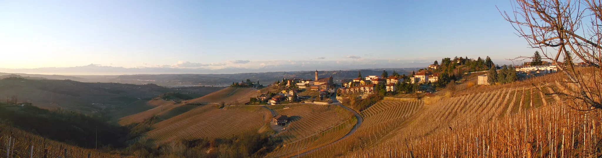 Photo showing: View over Treiso, Alba (CN) - Italy , Langhe District