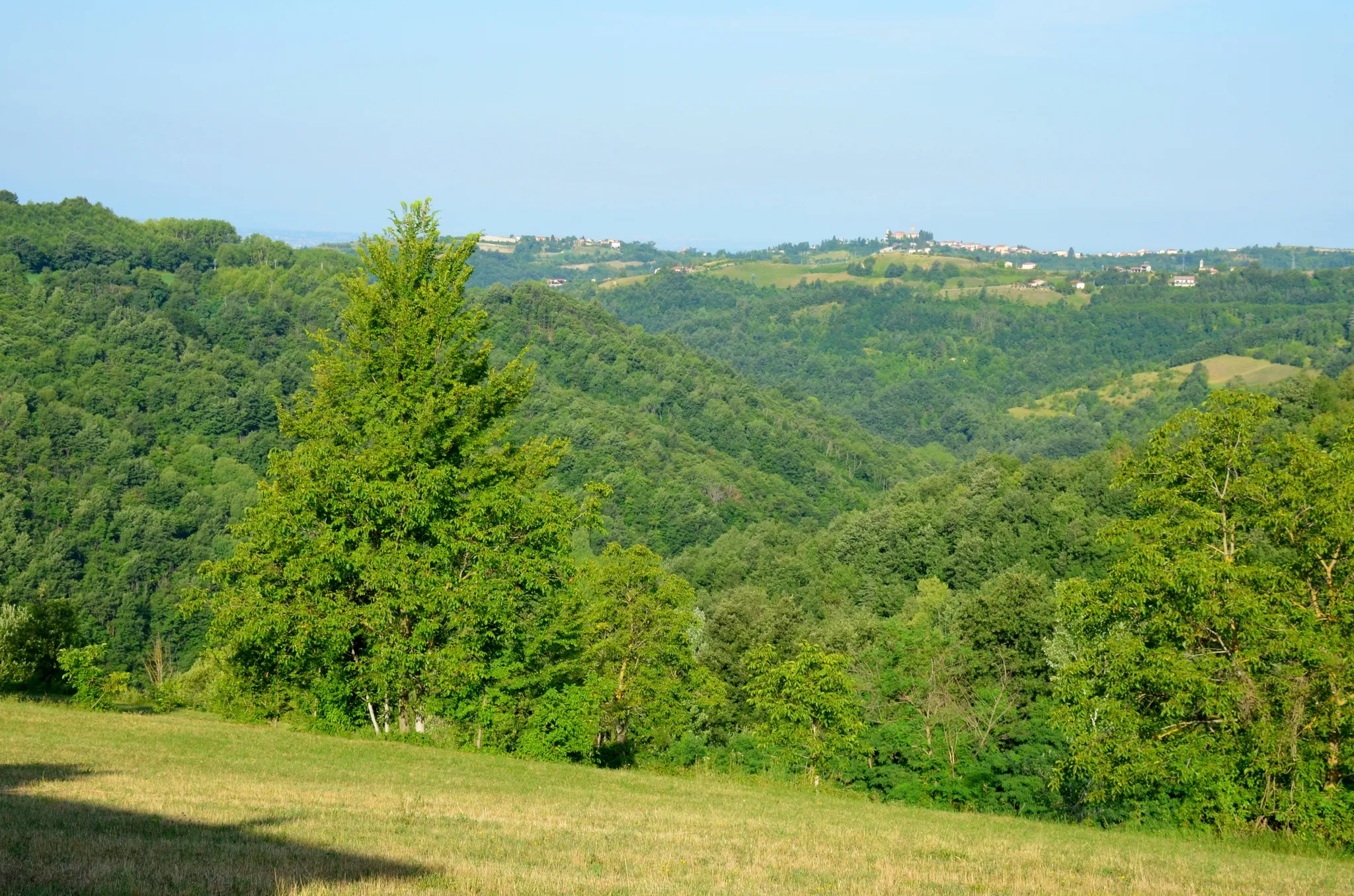 Photo showing: La vallata del torrente Cusina, vista verso Ovest, nei pressi di case Giaclot di  Marsaglia.