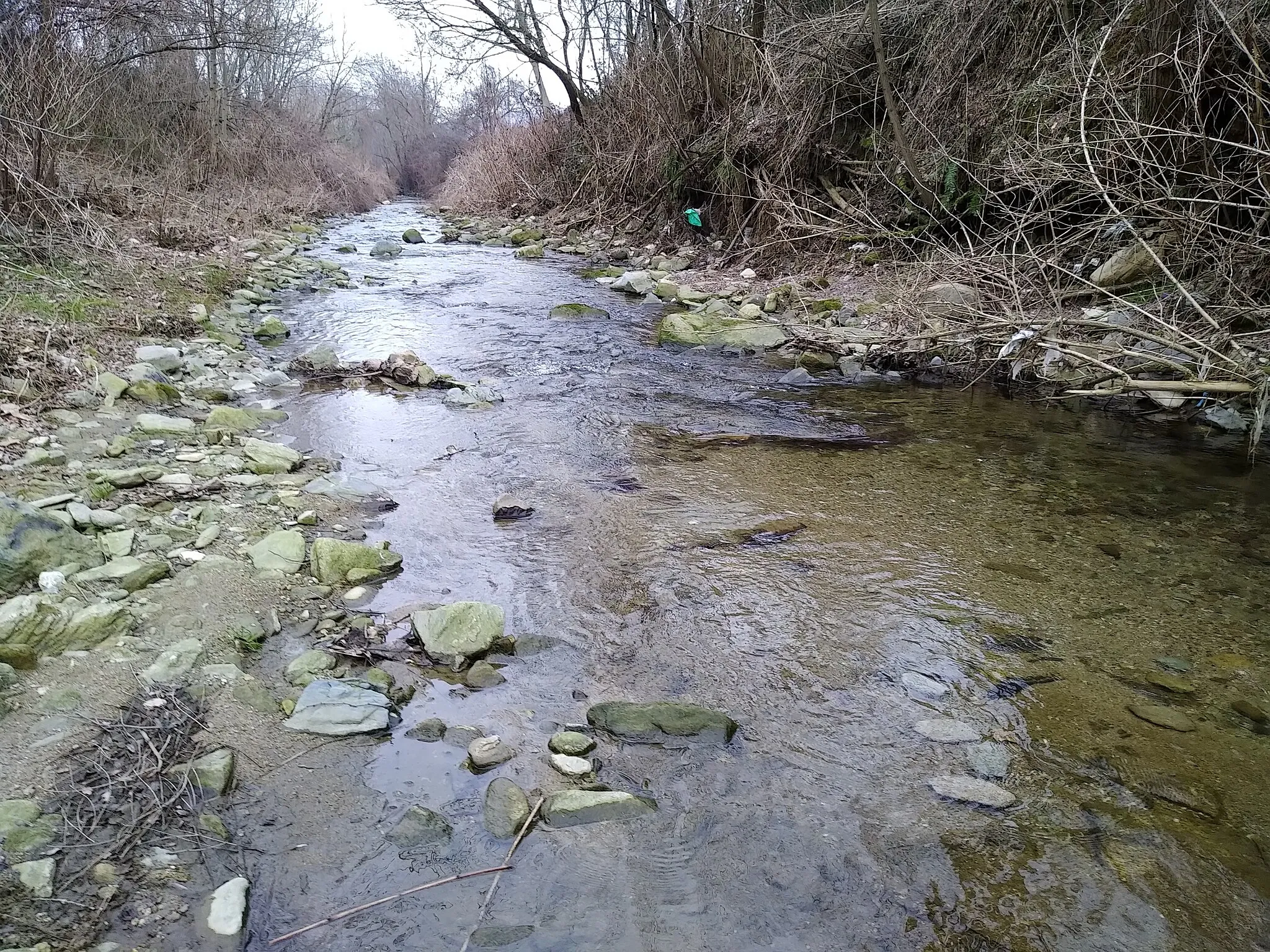 Photo showing: Il torrente Bronda presso Castellar (Saluzzo, CN)