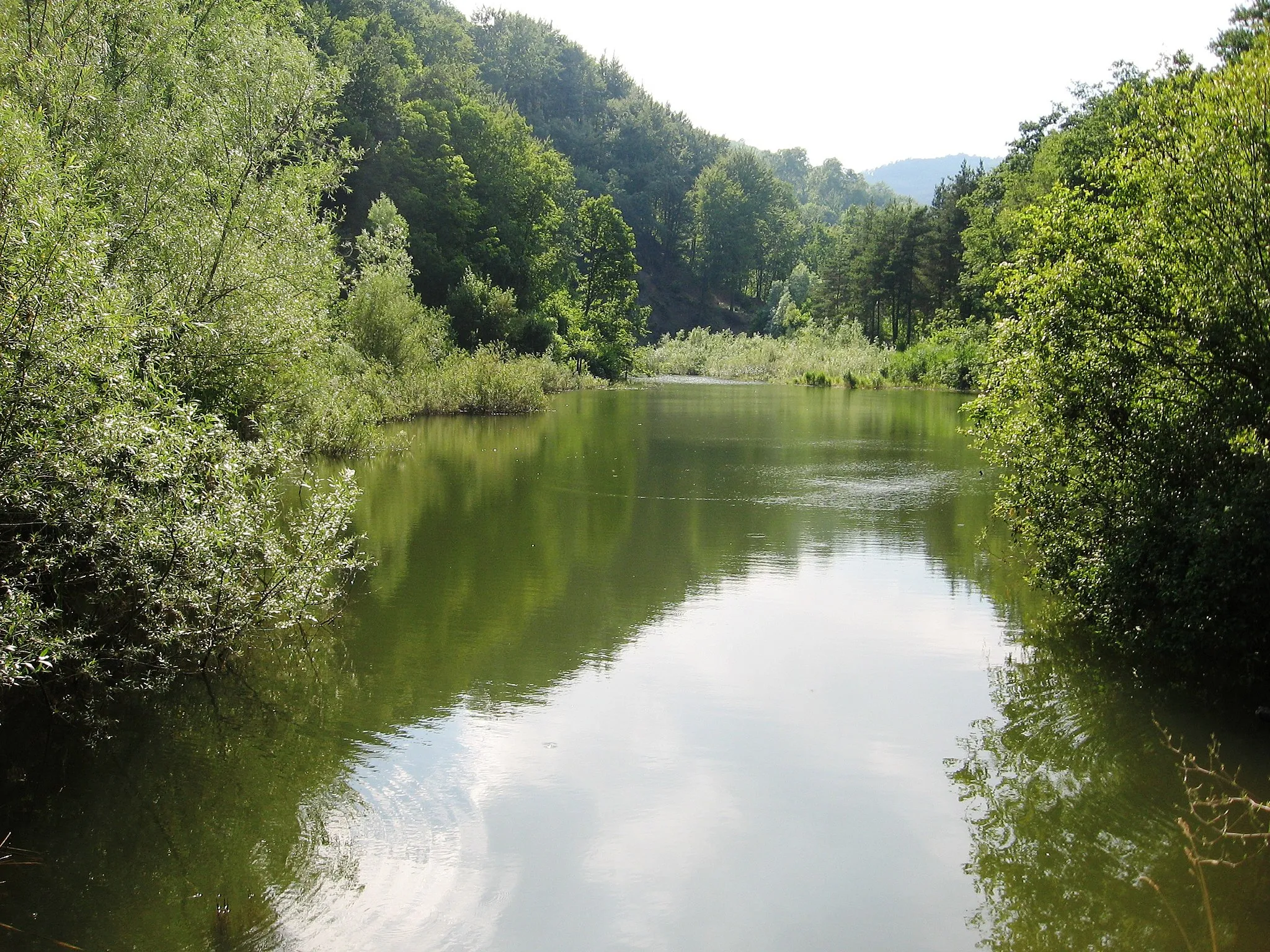 Photo showing: Gottasecca. Il lago del Vaglio. Pomeriggio del 12 Luglio.