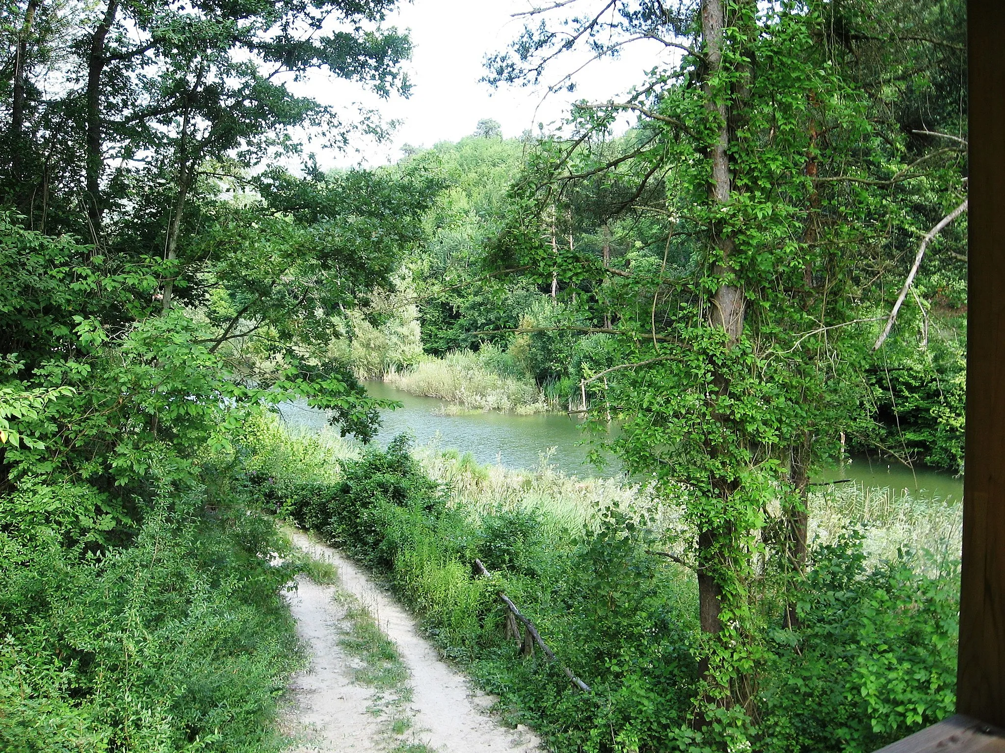 Photo showing: Gottasecca. Il lago del Vaglio dalla torre del birdwatching.