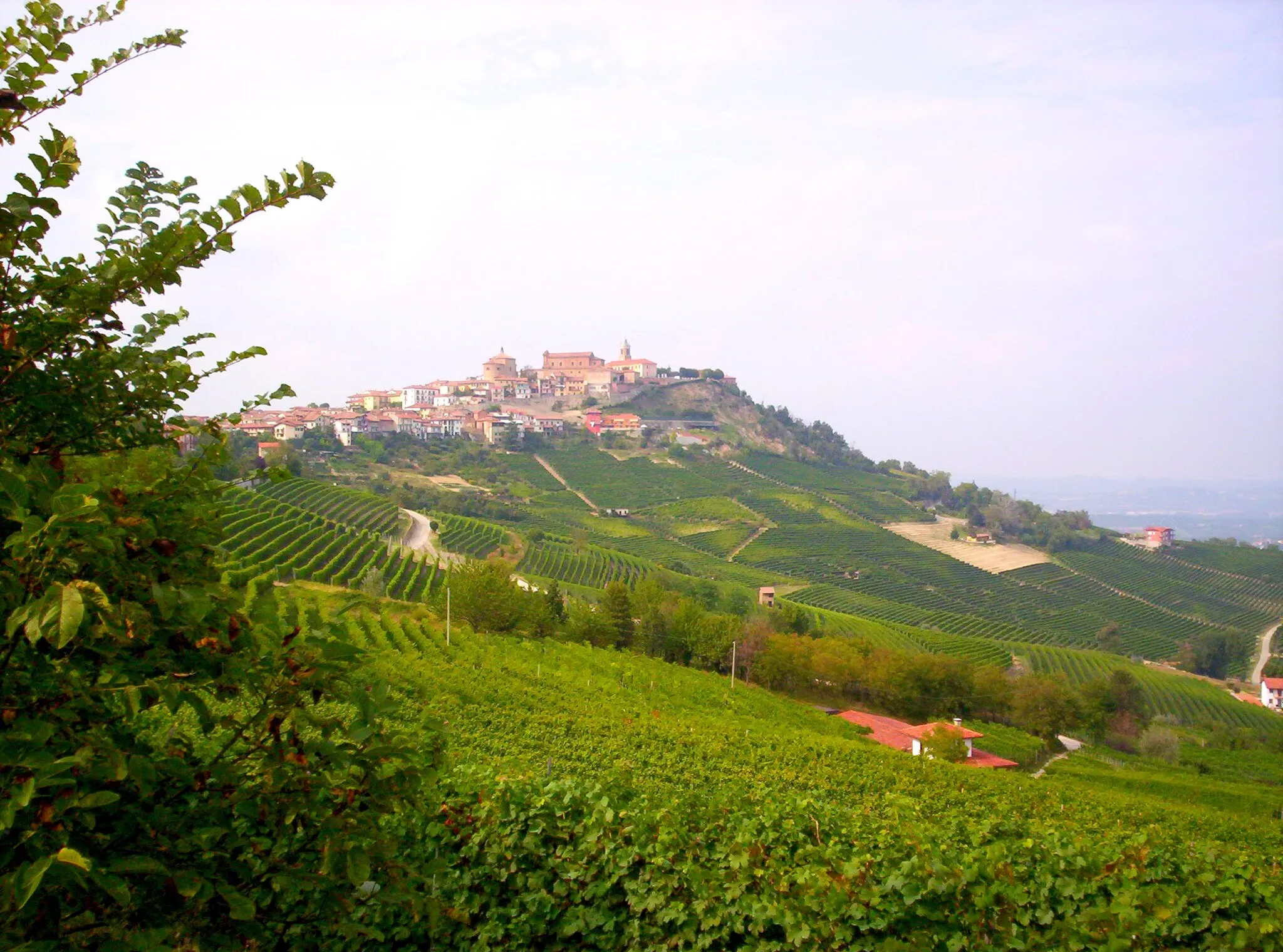 Photo showing: vista su La Morra (Cuneo)