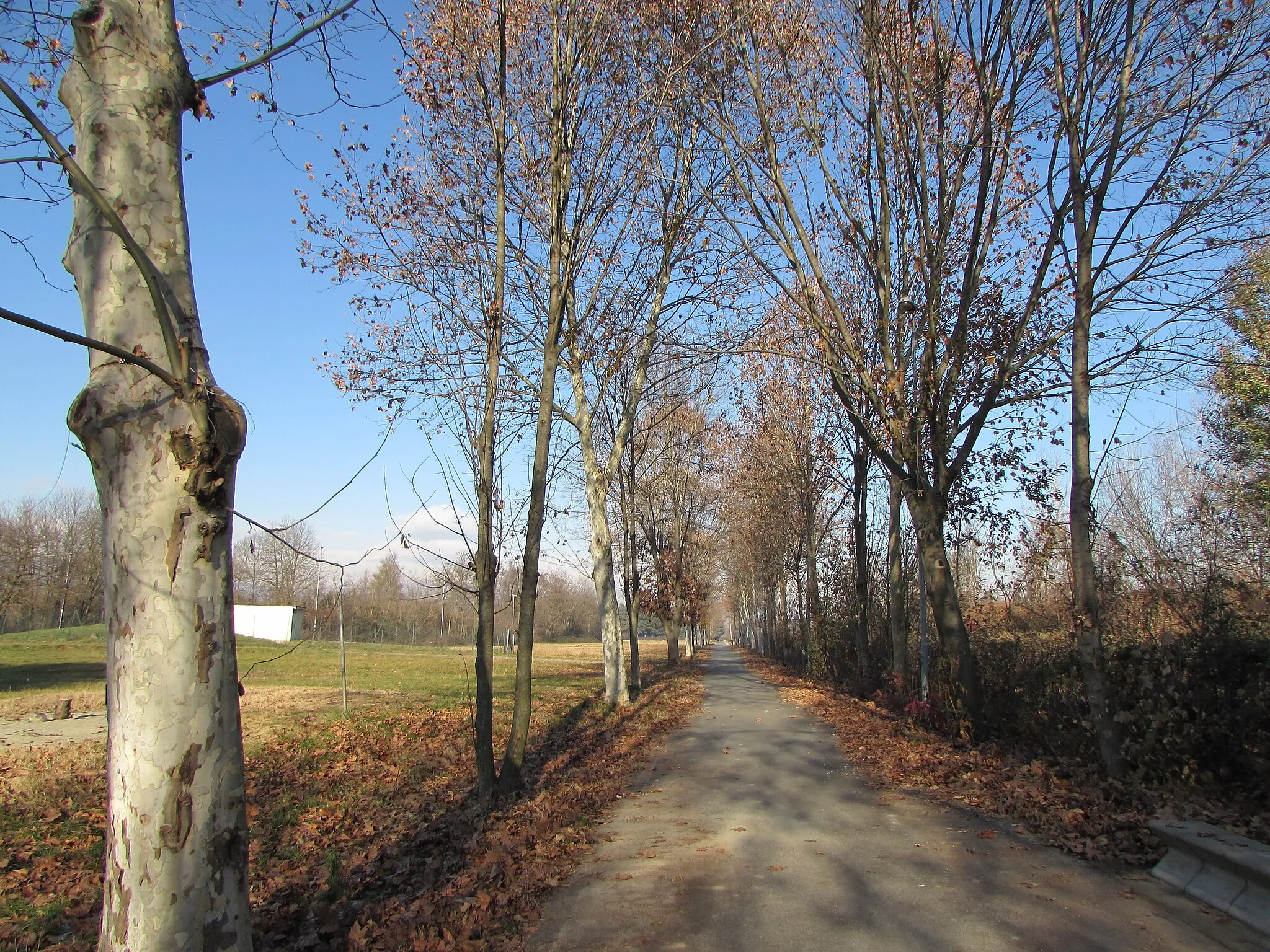 Photo showing: Pista ciclabile Parco Chico Mendes