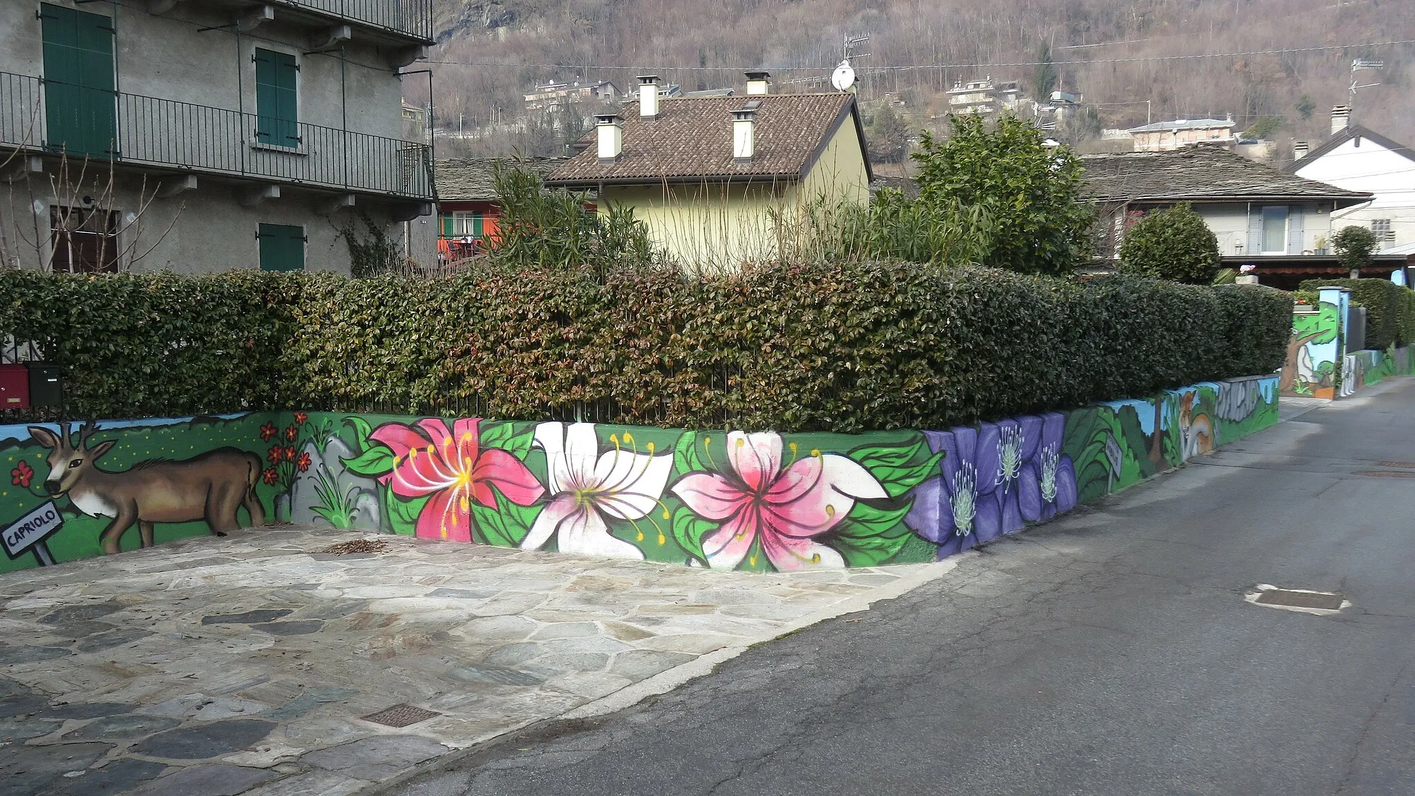 Photo showing: Premosello-Chiovenda Murale Valgrande