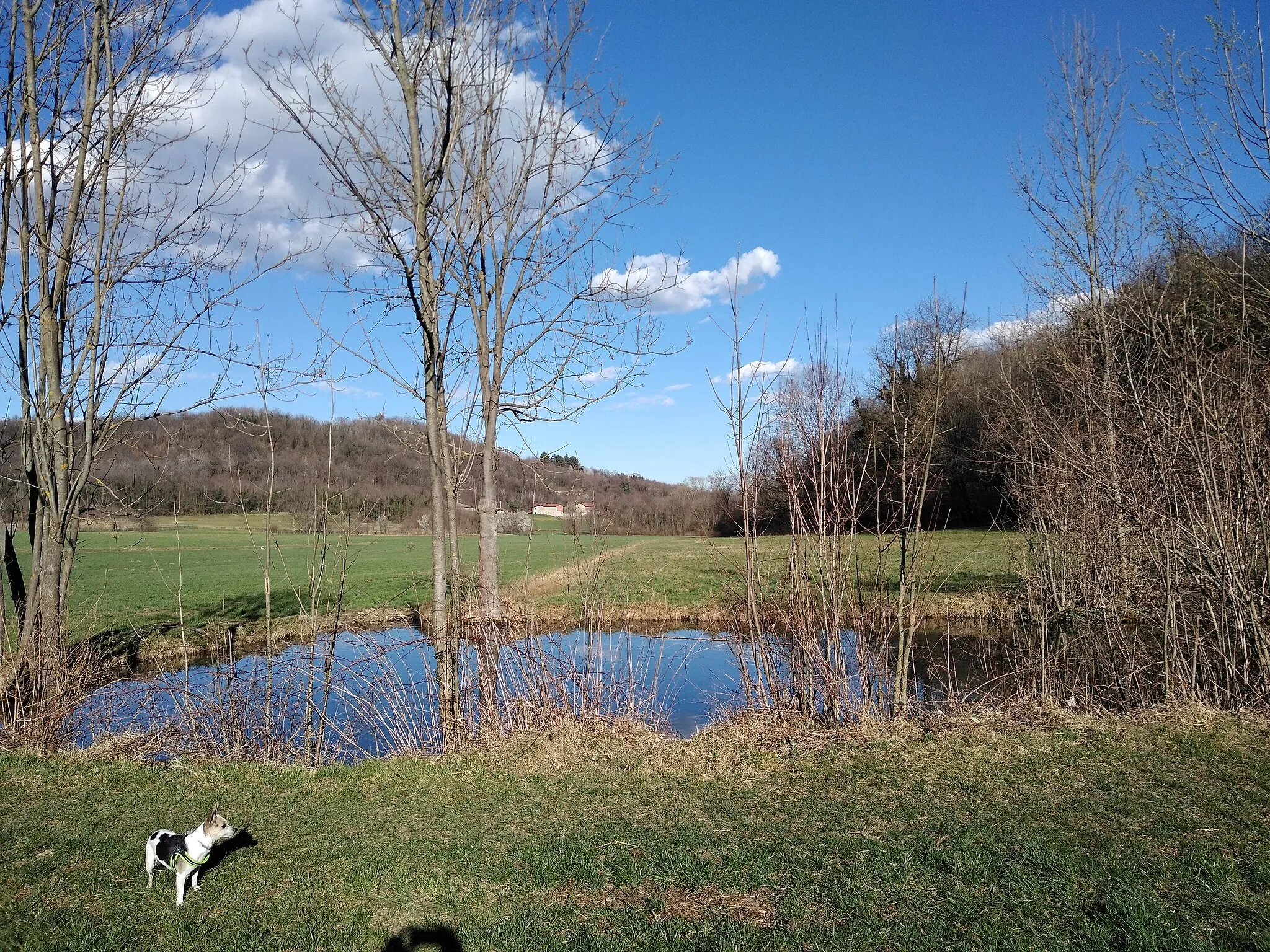 Photo showing: Marshy hollow between morainic ridges.