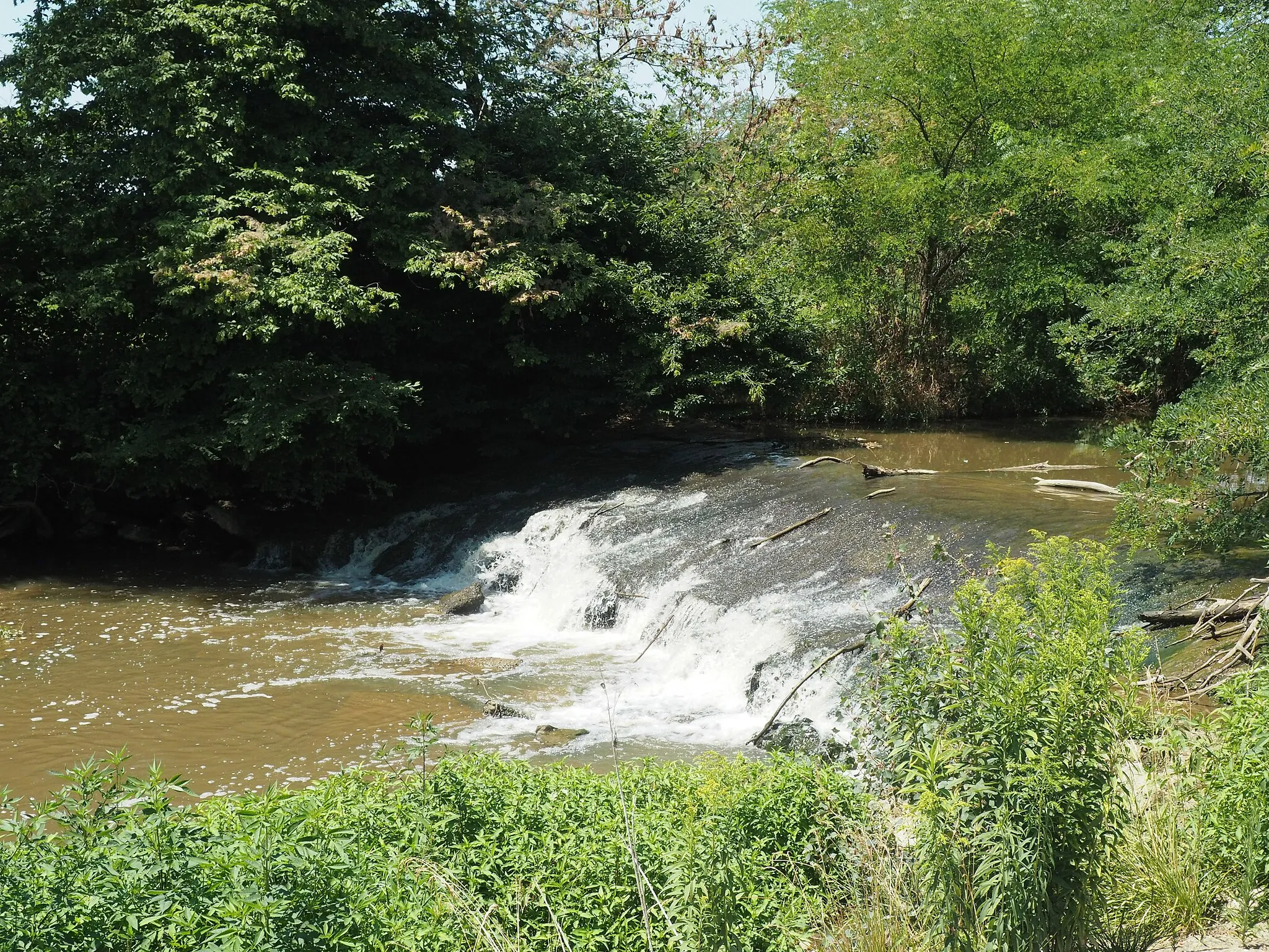 Photo showing: Riserva naturale speciale della Garzaia di Villarboit (Q3936918)