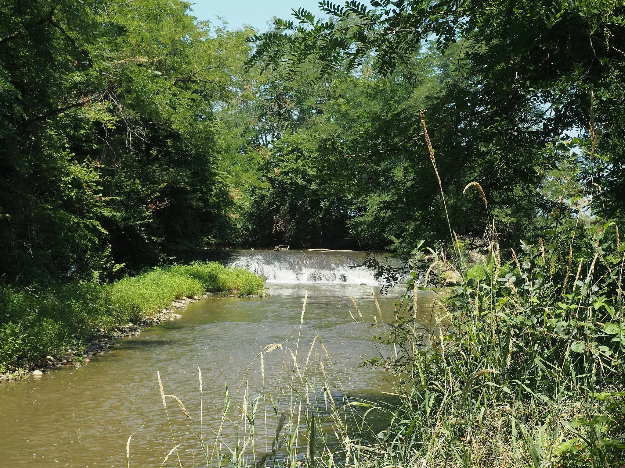 Photo showing: Riserva naturale speciale della Garzaia di Villarboit (Q3936918)