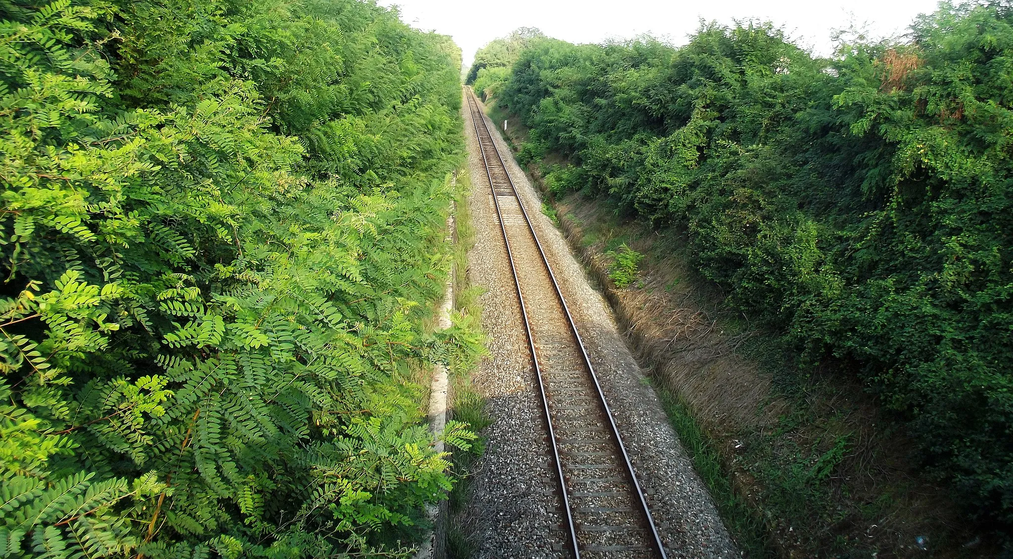 Photo showing: Biella–Novara railway (Italy) between the stations of Cossato and Rovasenda