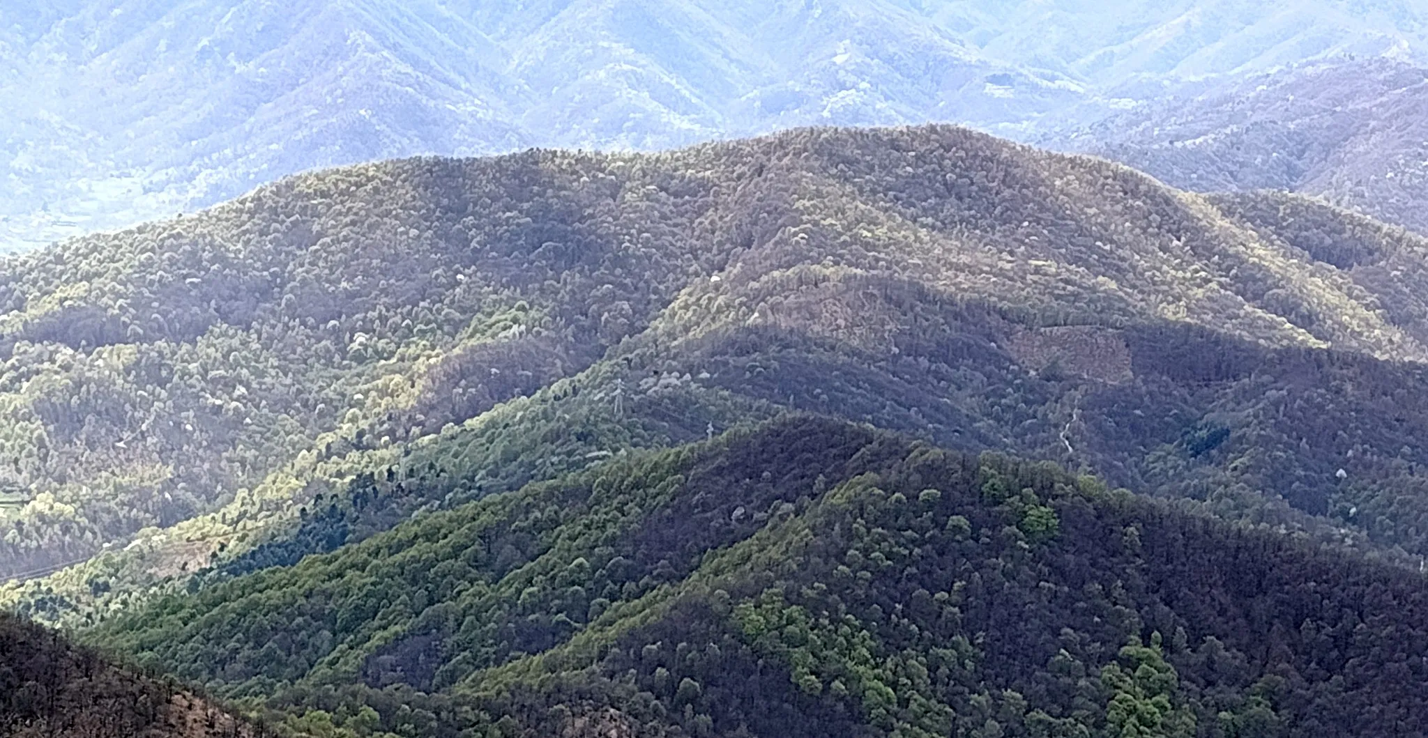 Photo showing: Truc le Creste (Cottian Alps) as seen from Monte Pietraborga