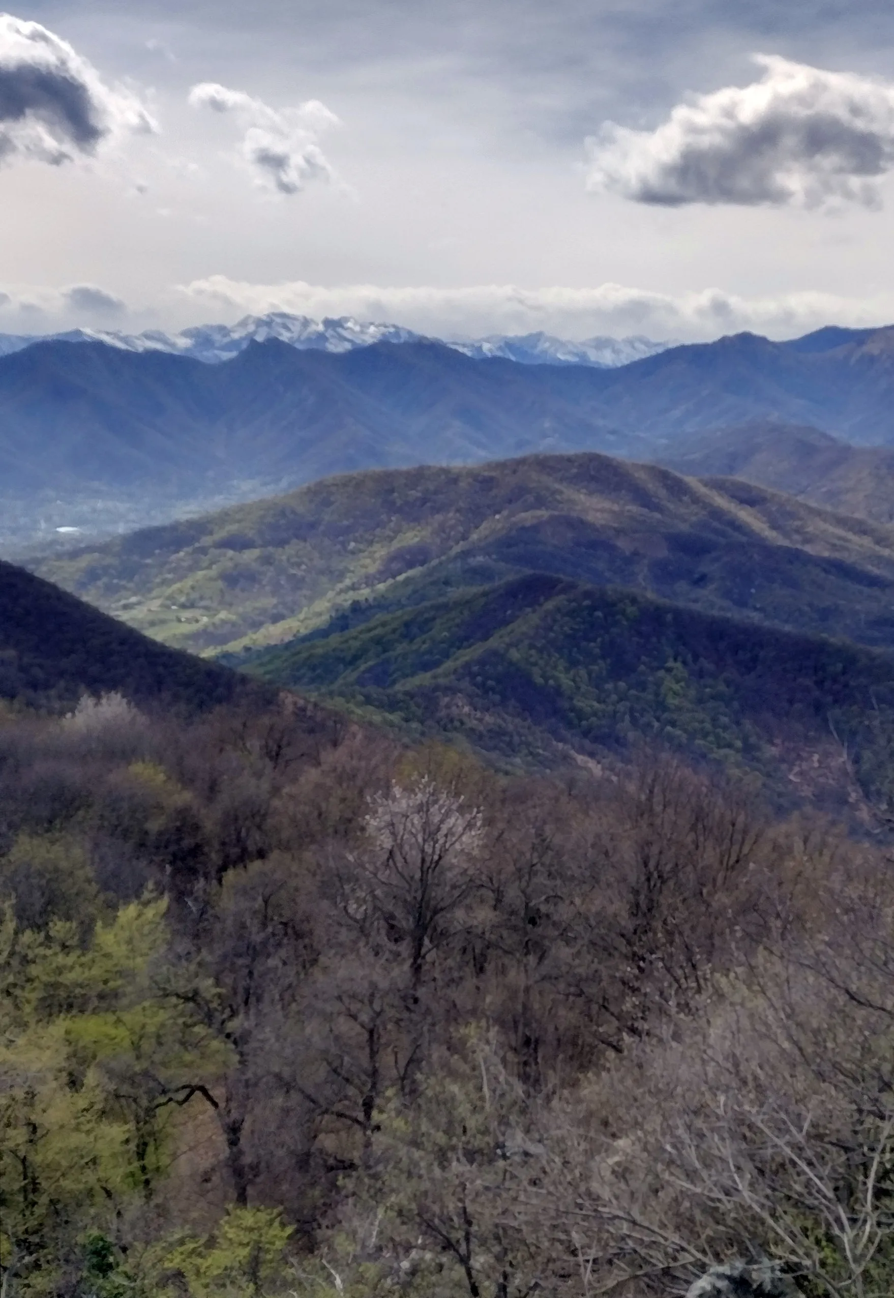 Photo showing: Truc le Creste (Cottian Alps) as seen from Monte Pietraborga