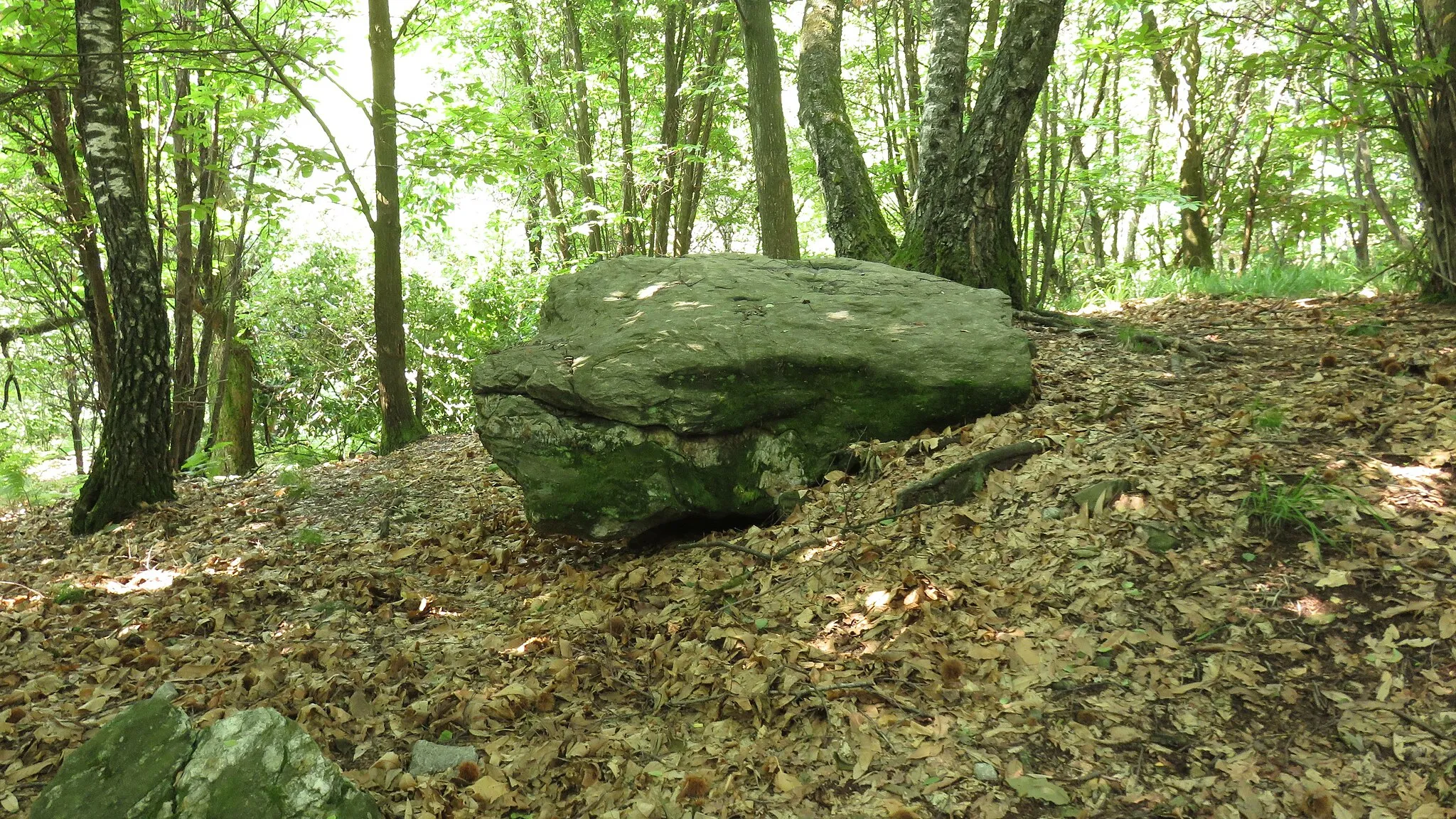 Photo showing: Alzo di Pella Masso coppellato