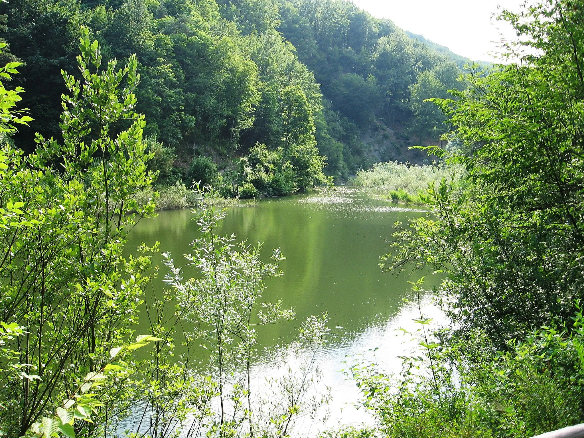 Photo showing: Gottasecca. Il lago del Vaglio.