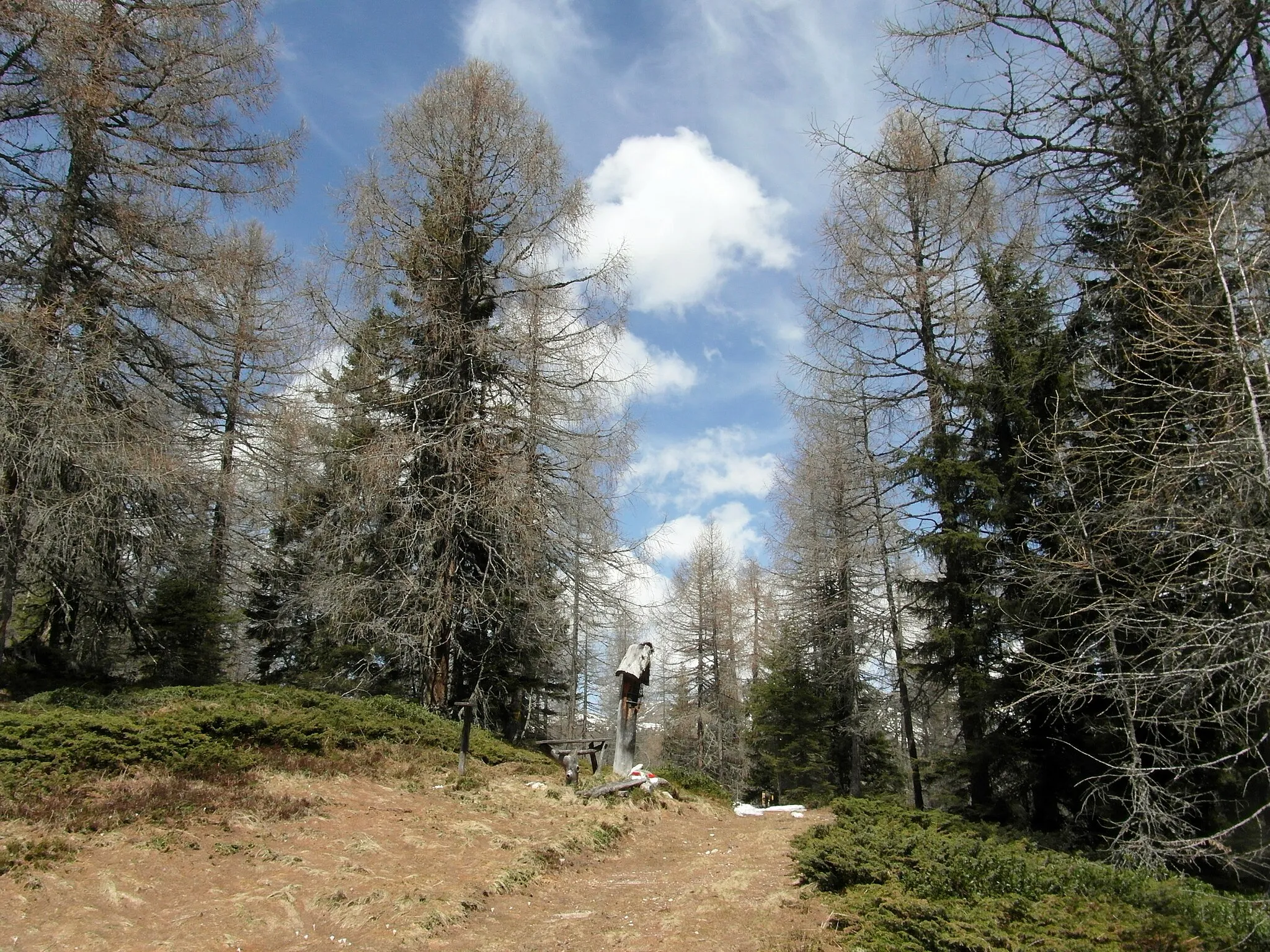 Photo showing: Su per il monte Stoanamandl