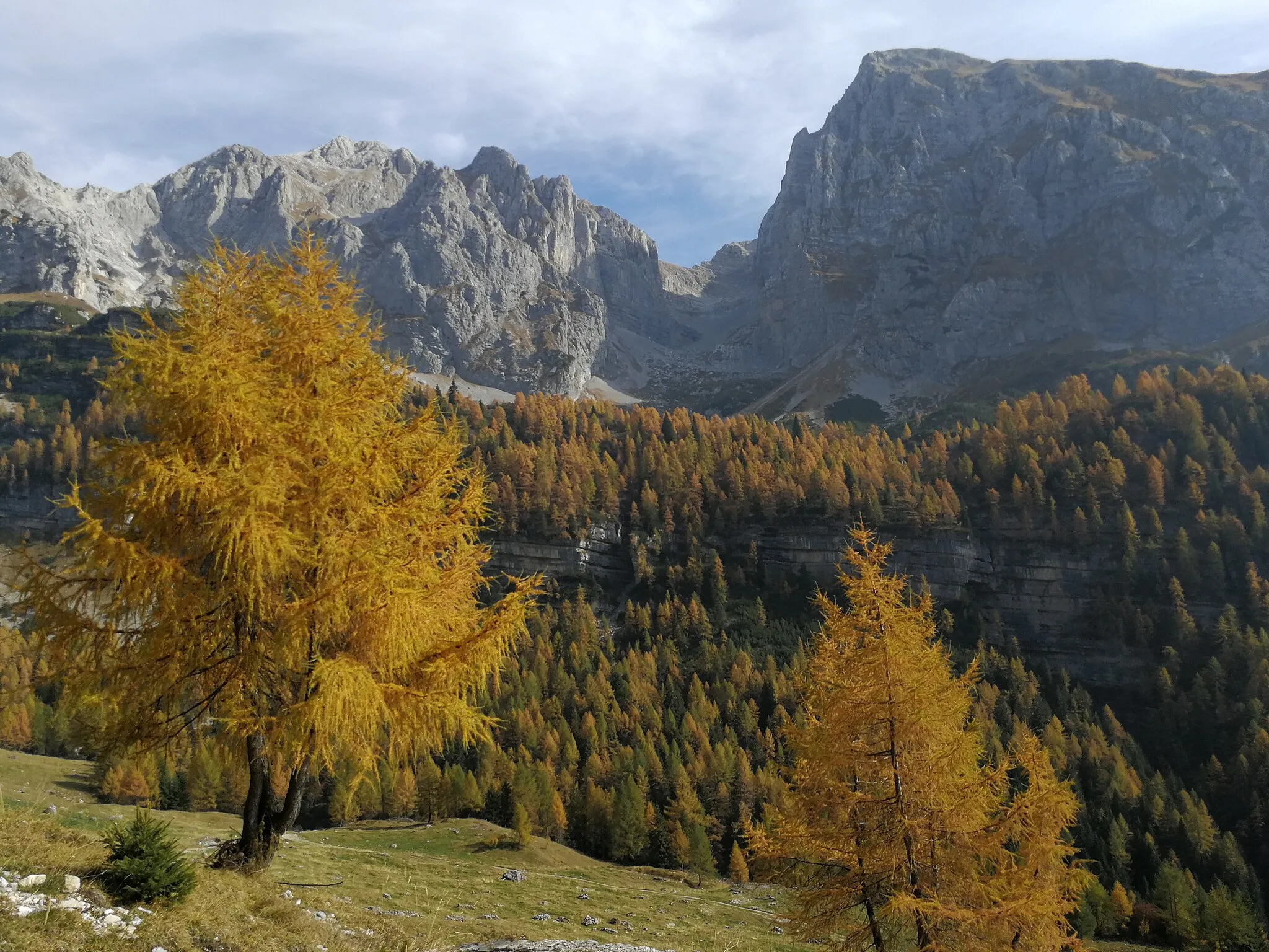 Photo showing: Cima di Ghez e Doss di Dalun separati dalla Val Dalun in autunno, visti dai pressi di Malga Prato di Sotto