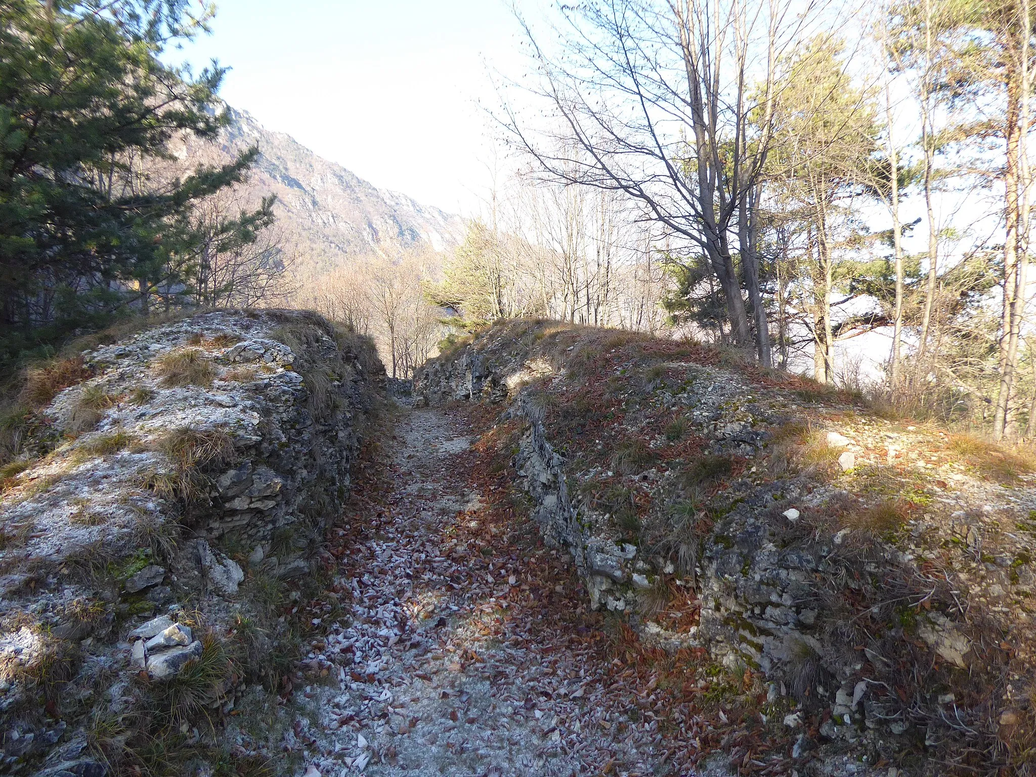 Photo showing: Trenched field of Matassone (Vallarsa, Trentino, Italy)