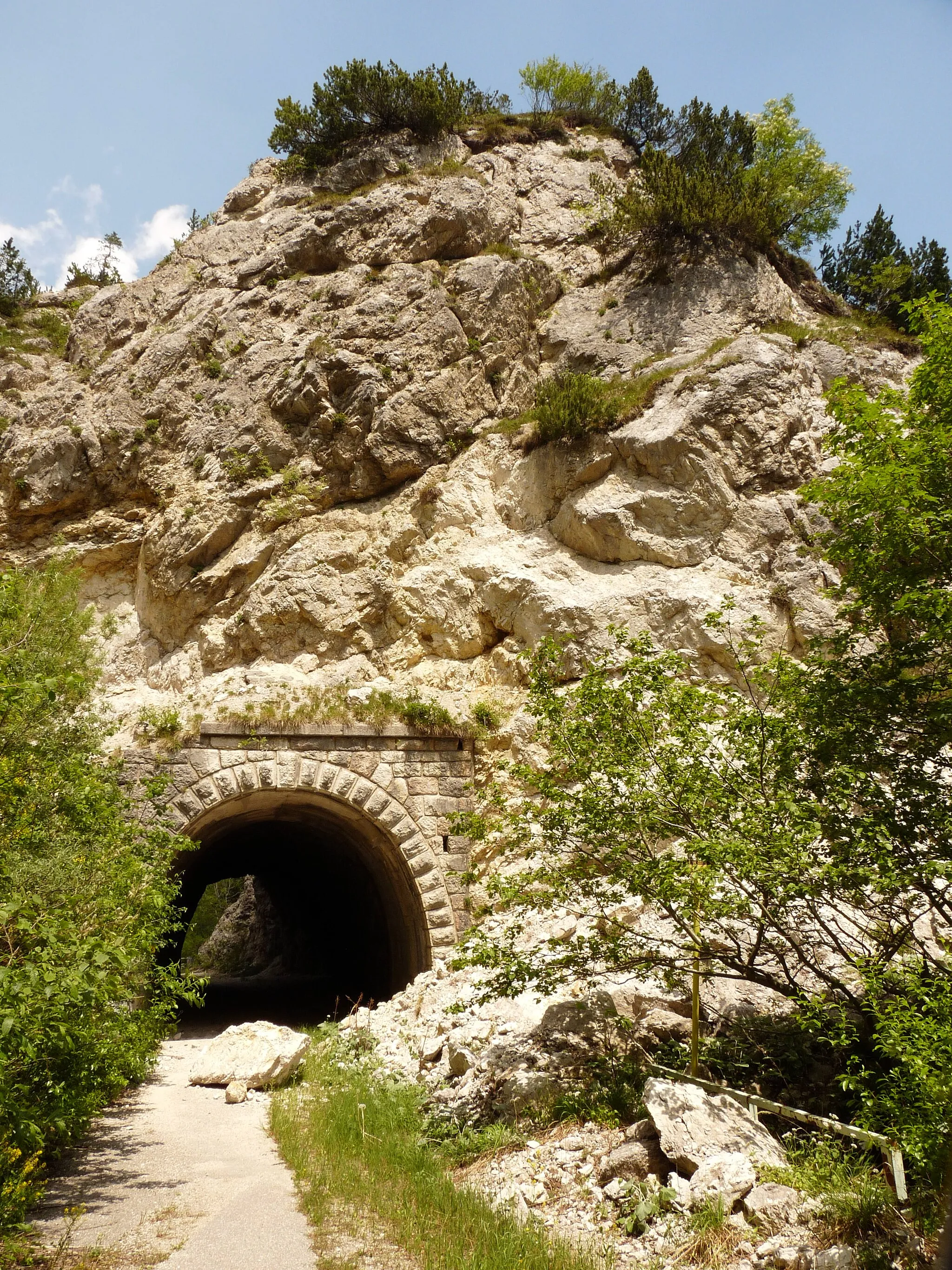 Photo showing: Centa San Nicolò (Italy): the old tunnel at Valico della Fricca (next to the new one), now in disuse.