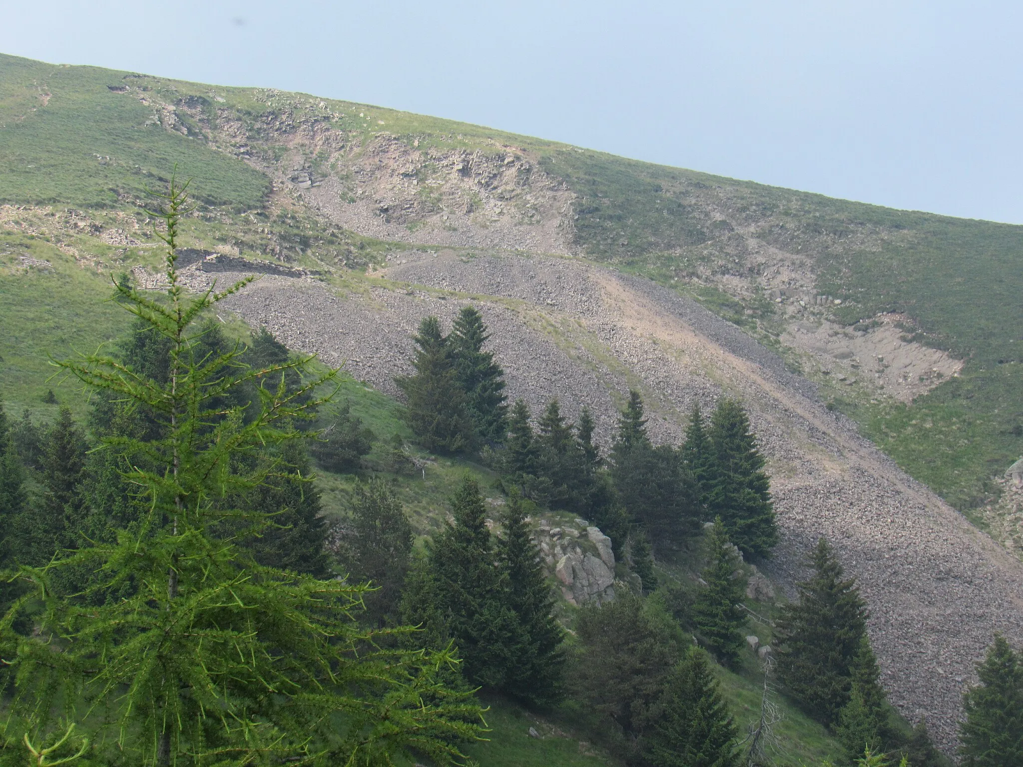 Photo showing: Dosso di Costalta (1955 m), Lagorai.