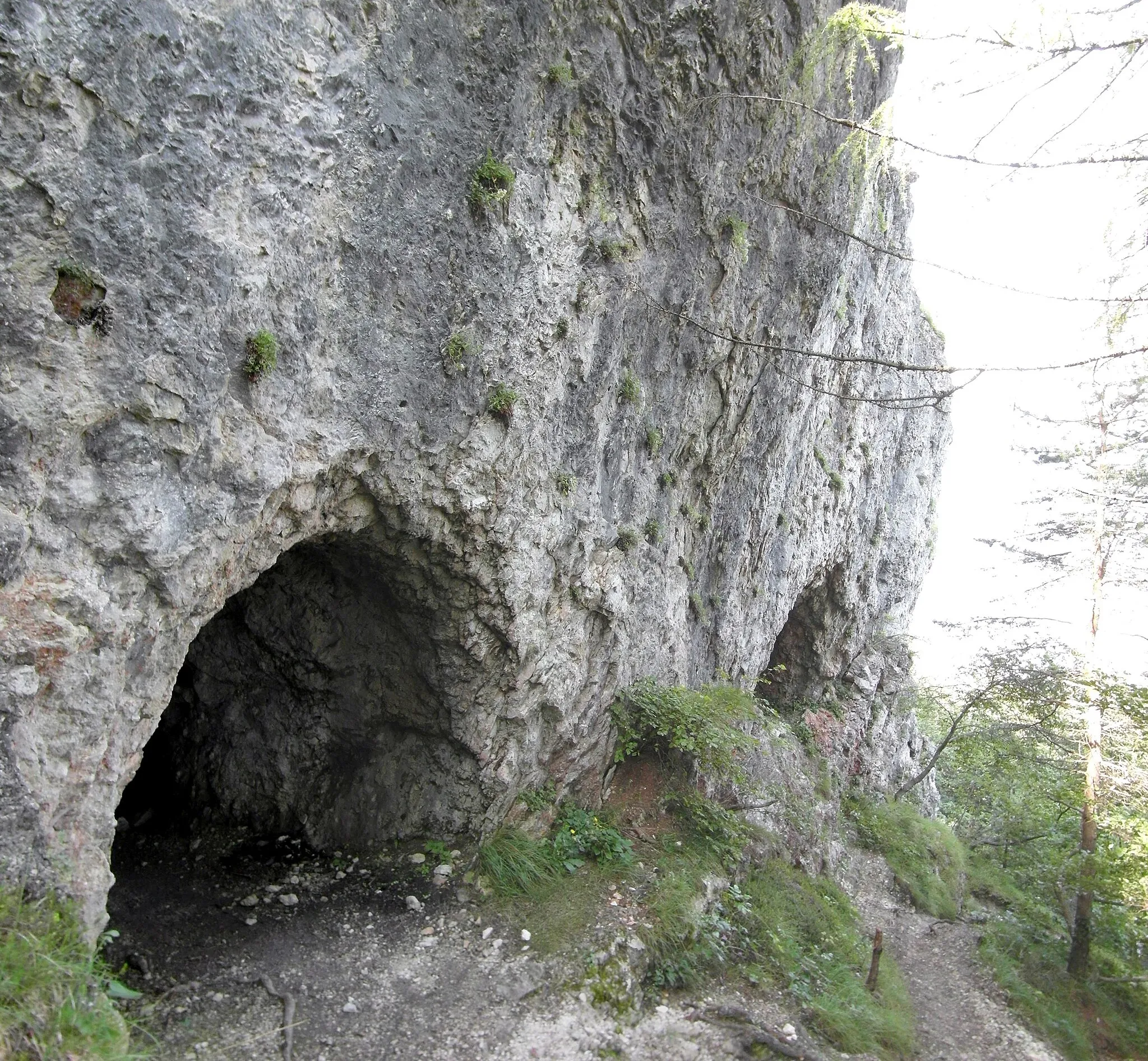 Photo showing: Monte Calisio - ingresso tunnel