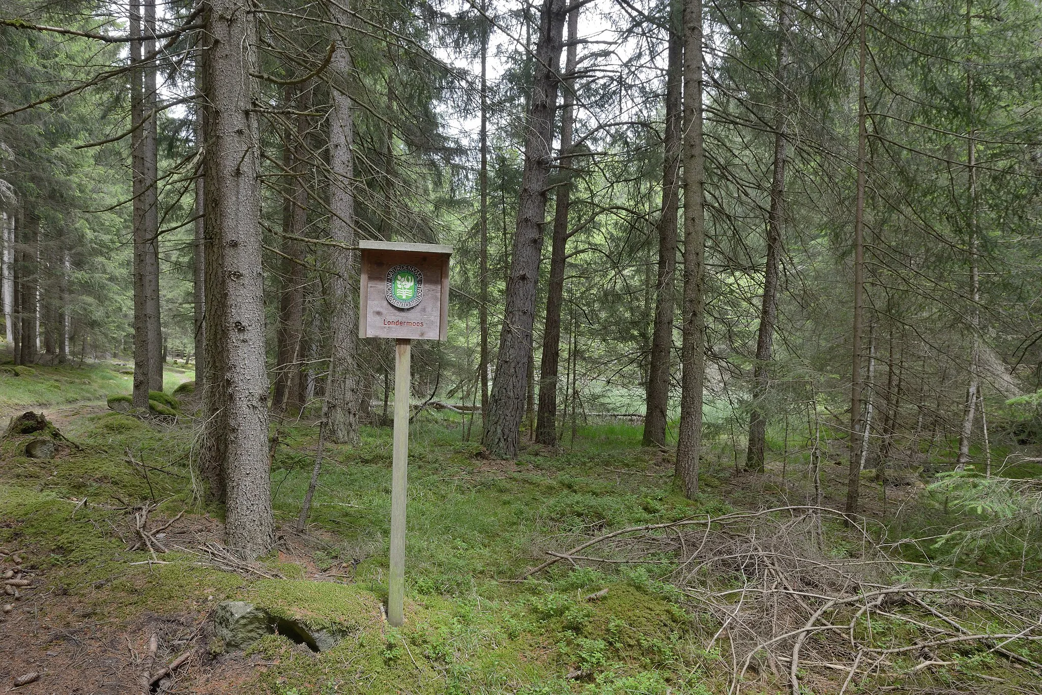 Photo showing: This media shows the protected natural monument with the ID 033_G20 in South Tyrol.
