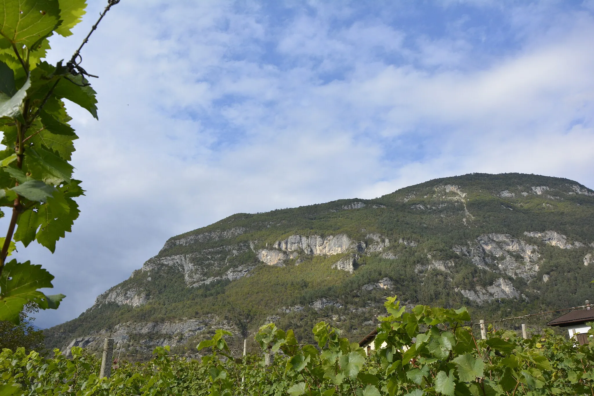 Photo showing: Versante est del Monte Lefre visto dall'abitato di Ospedaletto (TN)