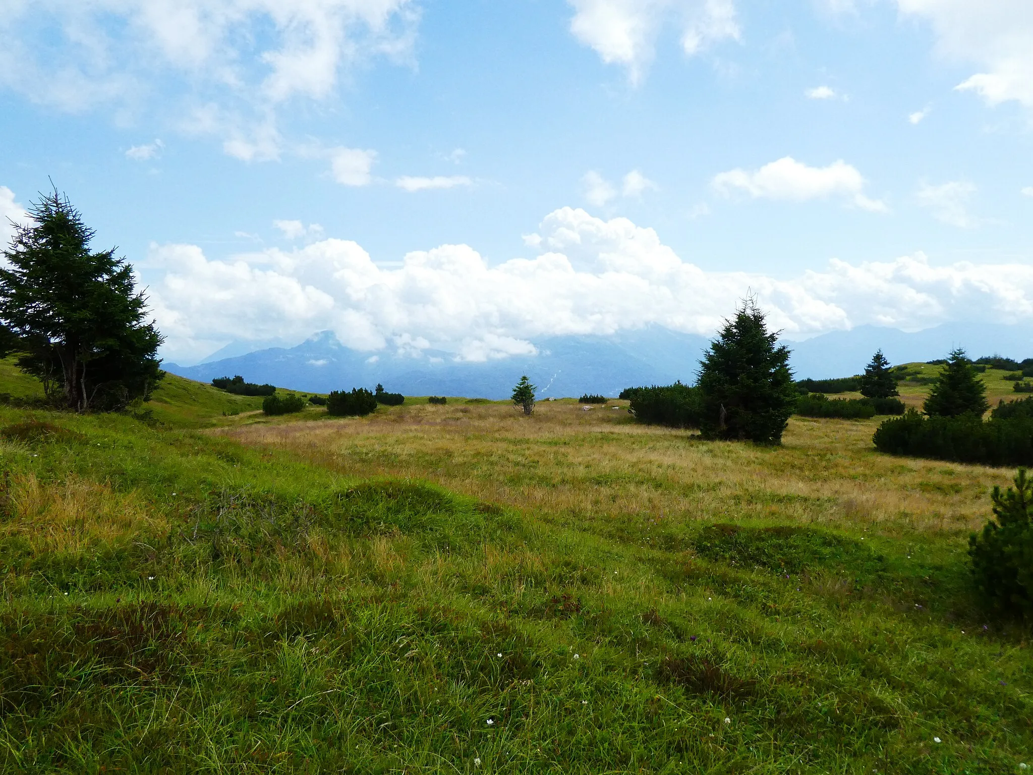 Photo showing: Plateau on Monte Ranzo (Vallelaghi, Trentino, Italy)