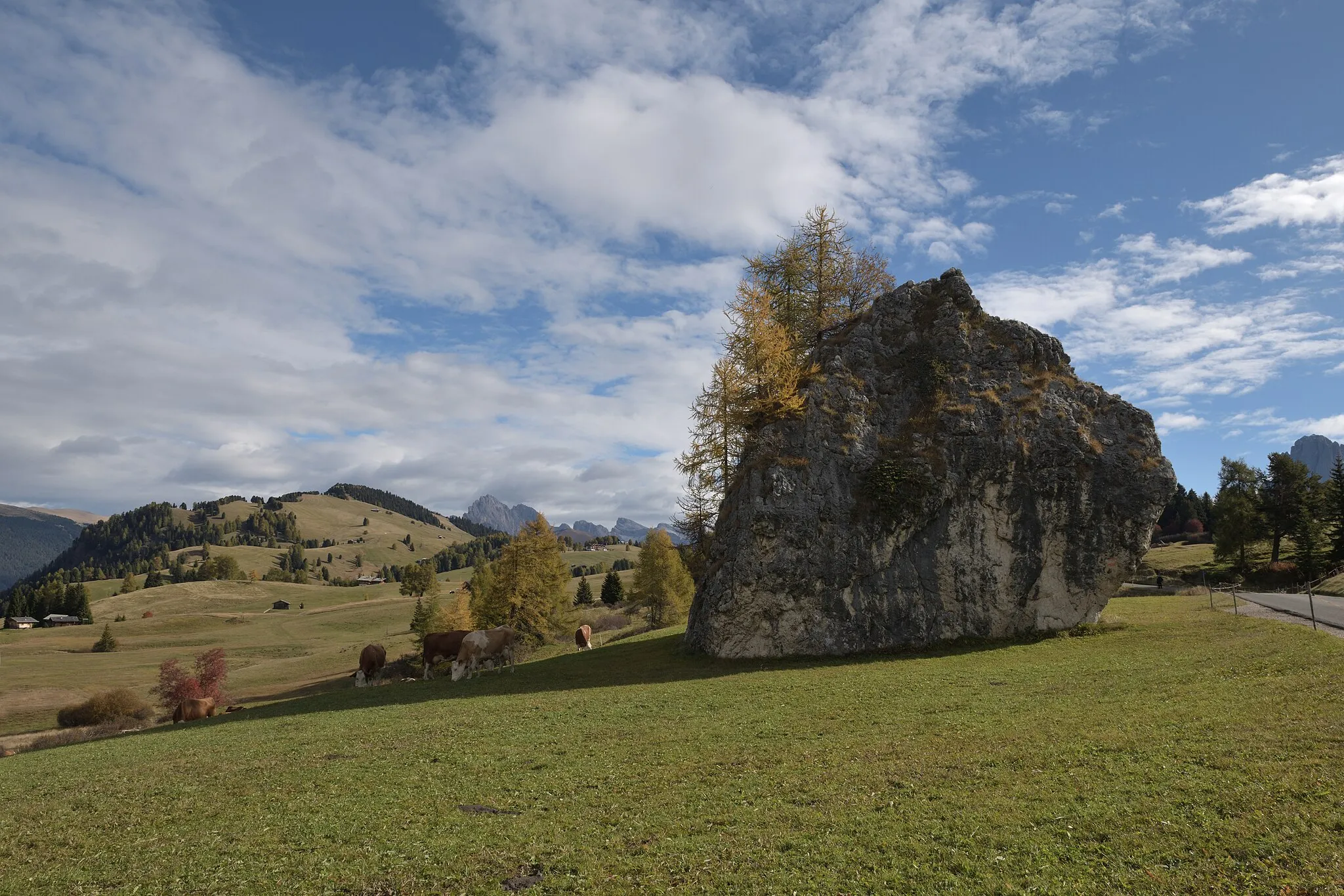 Photo showing: This media shows the protected natural monument with the ID 033_L01 in South Tyrol.