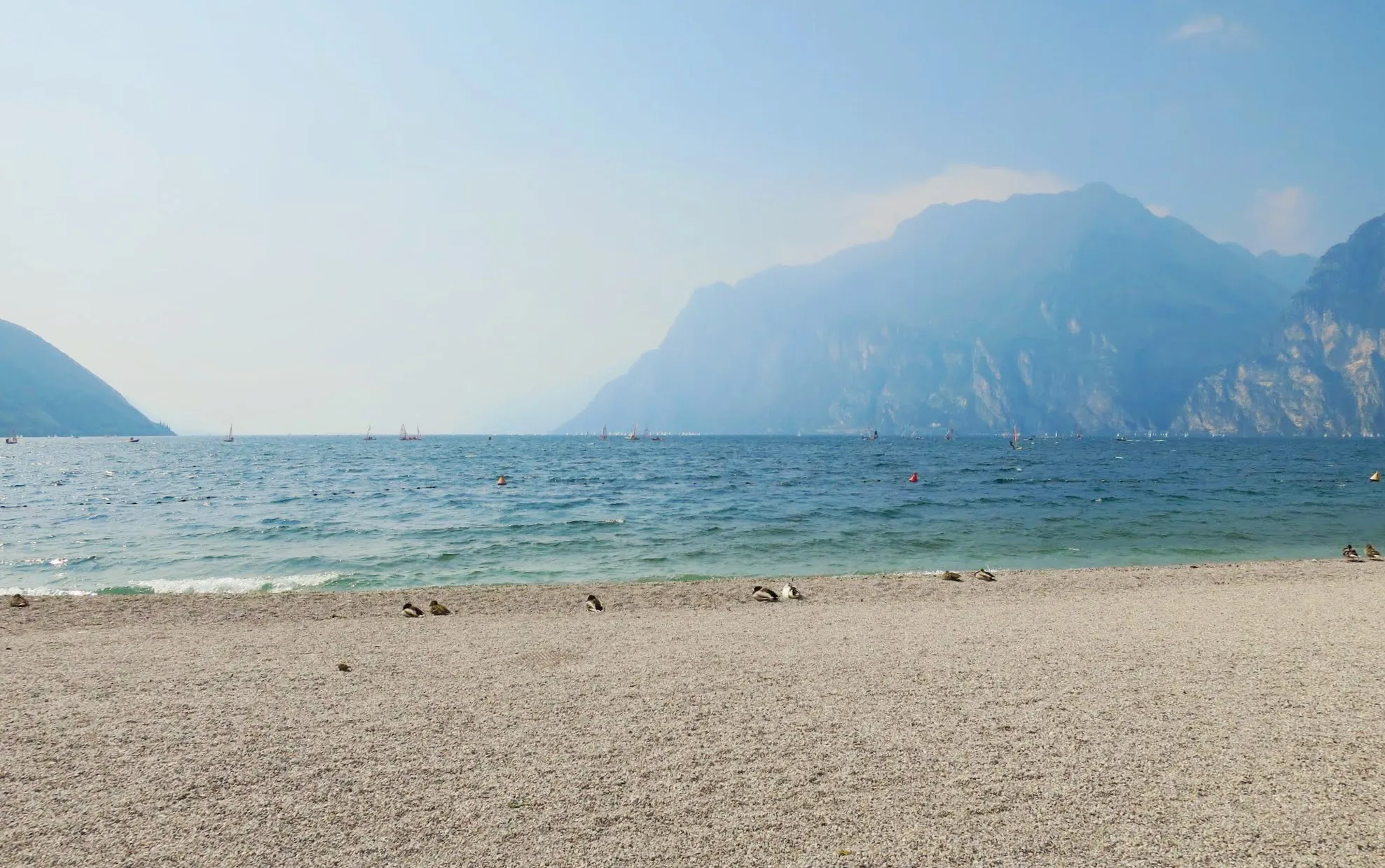 Photo showing: Riva del Garda, gravel beach with birds.