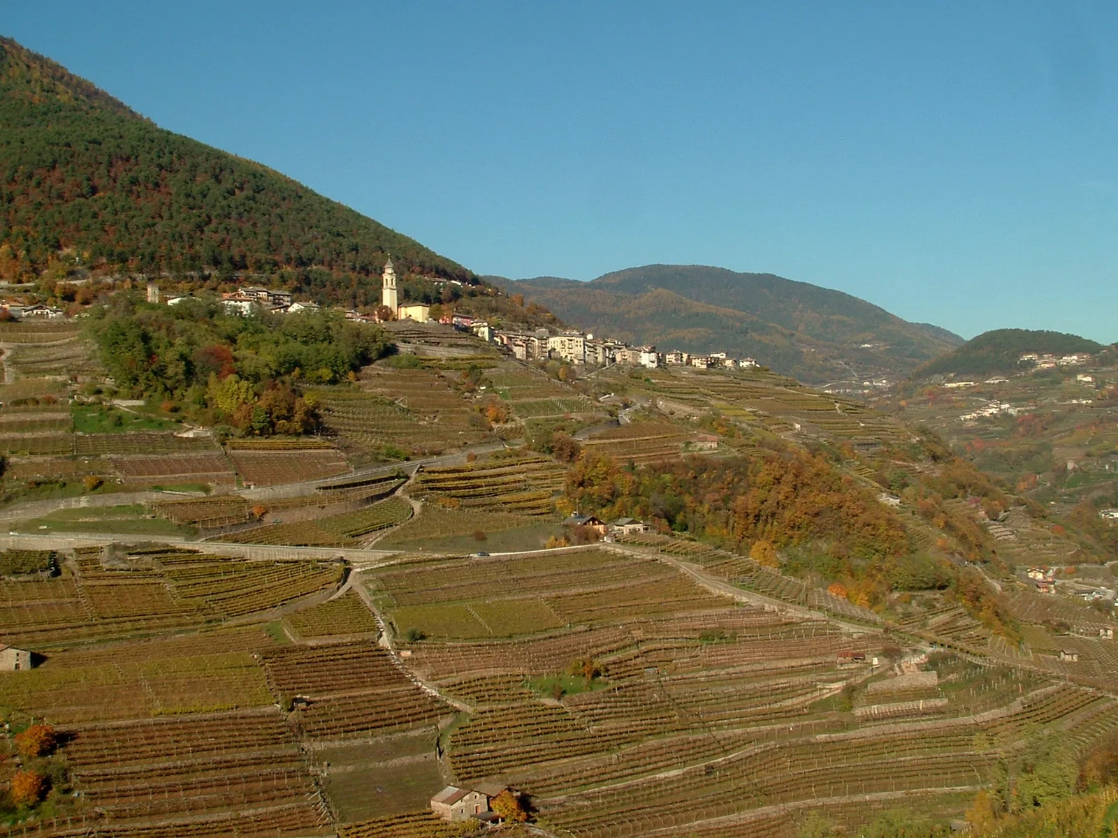Photo showing: vista del comune di Faver (Italia) dalla campagna di Cembra.