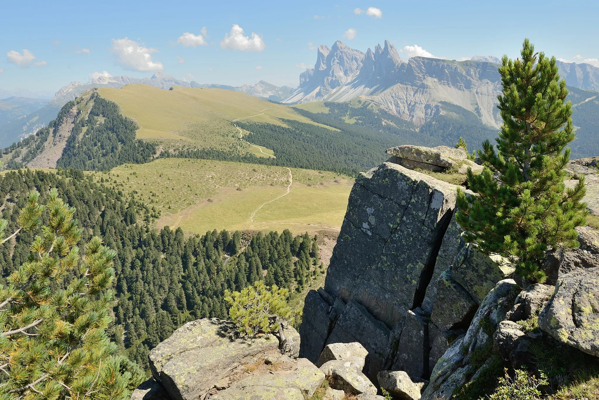 Photo showing: The  pasture  Resciesa  in Gröden - Up front swiss pine trees (pinus cembra) on Porphyry rocks