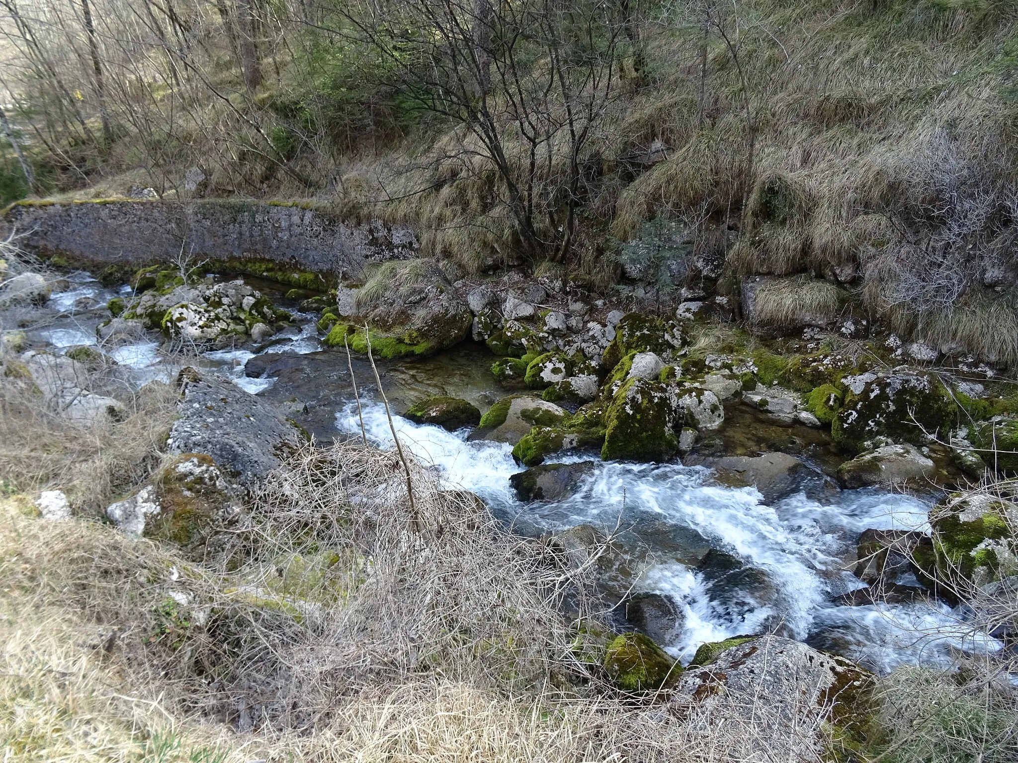 Photo showing: The Civetta stream right after the waterfall by the same name (Lastebasse, Veneto, Italy)