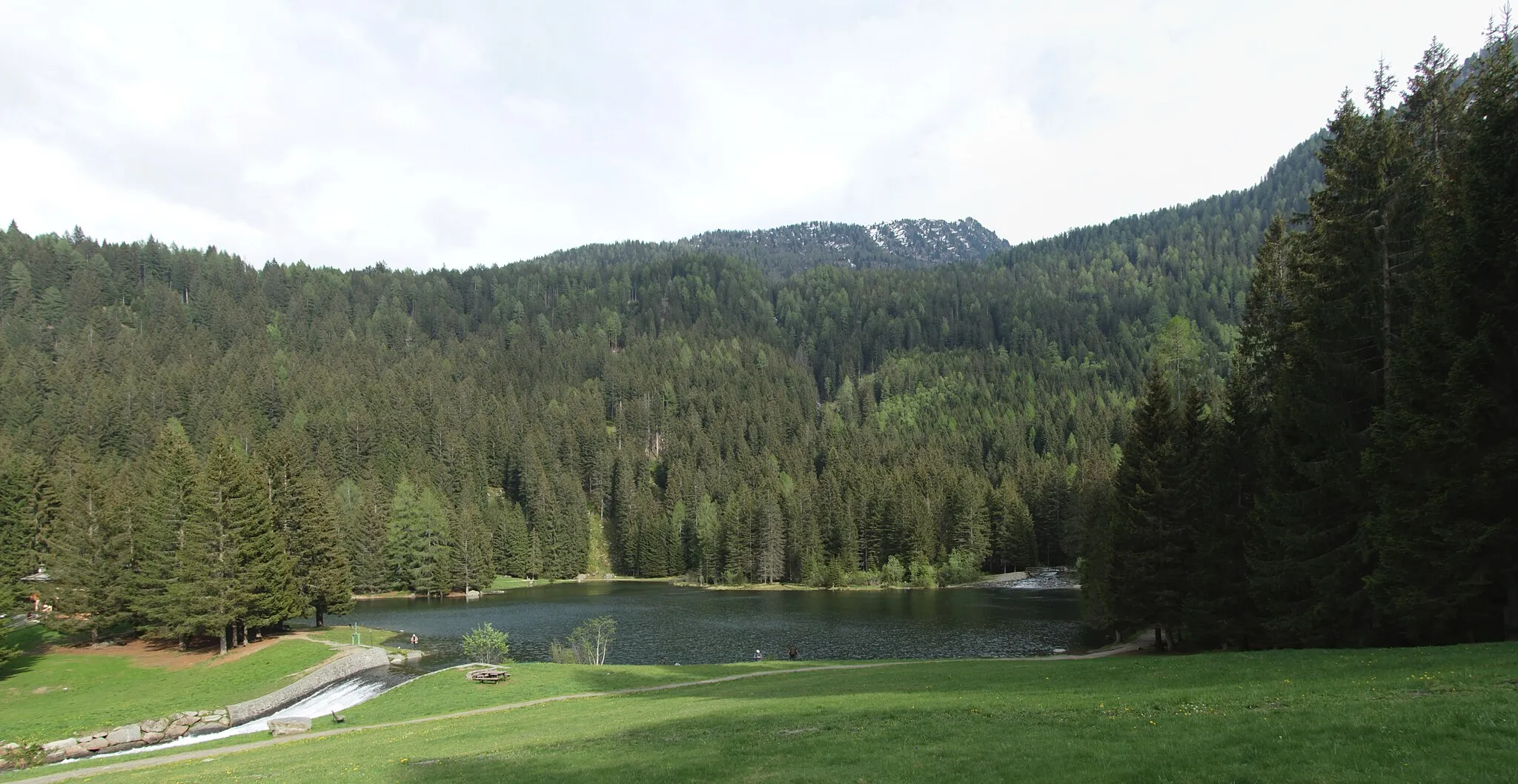 Photo showing: Pellizzano (Italy): view of Lago dei Caprioli (lake of the roe deers) from east.